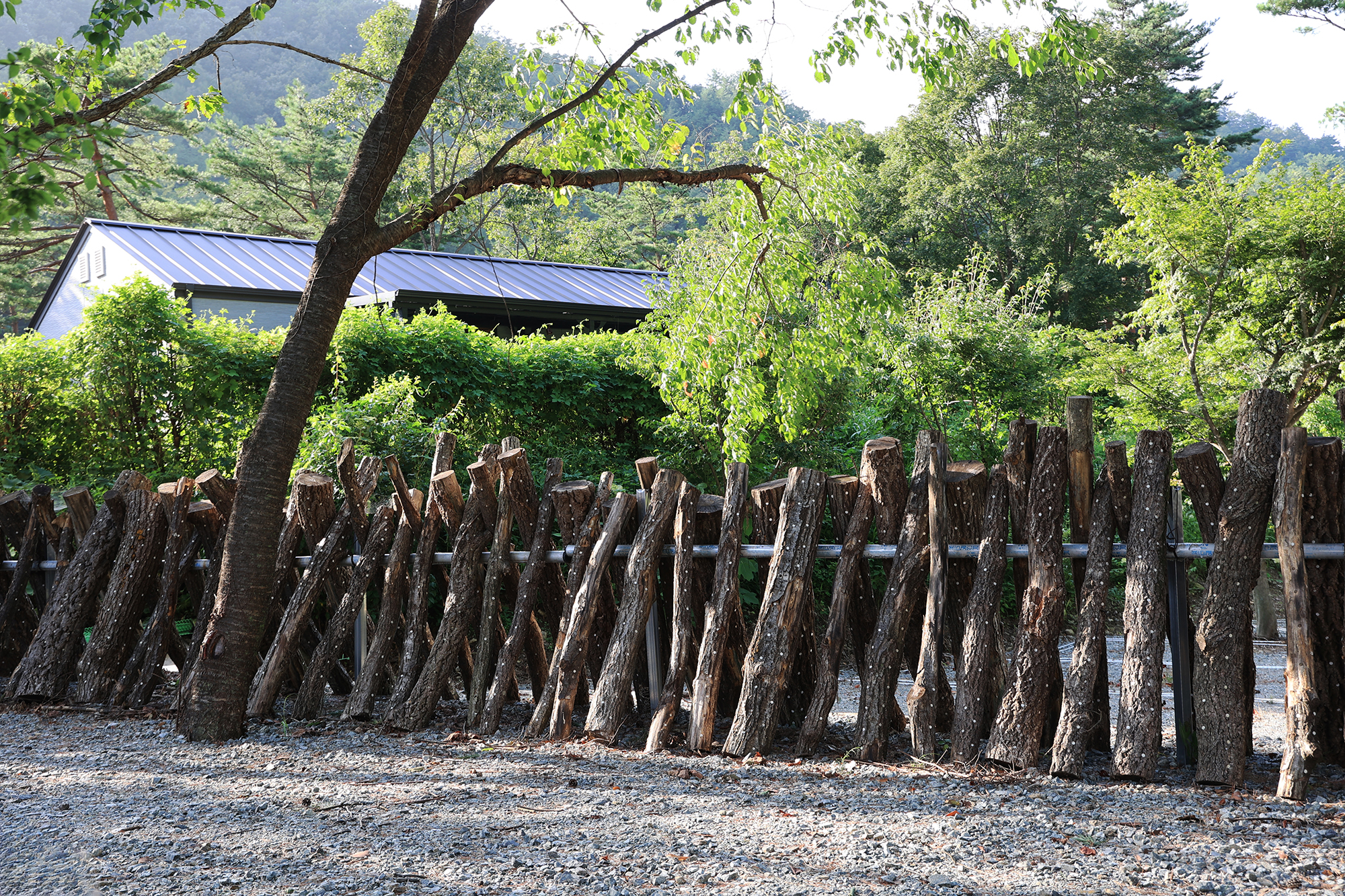 법수치오토캠핑장 이미지