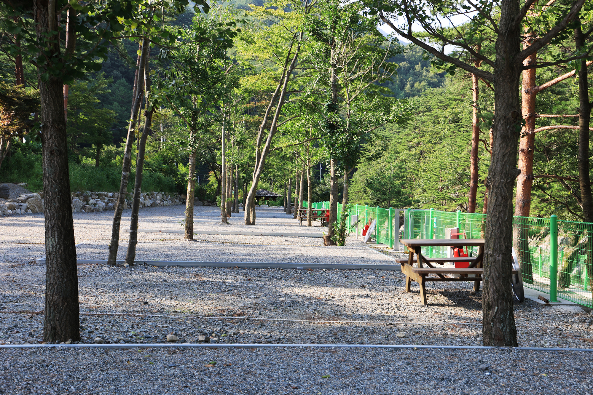 법수치오토캠핑장 이미지
