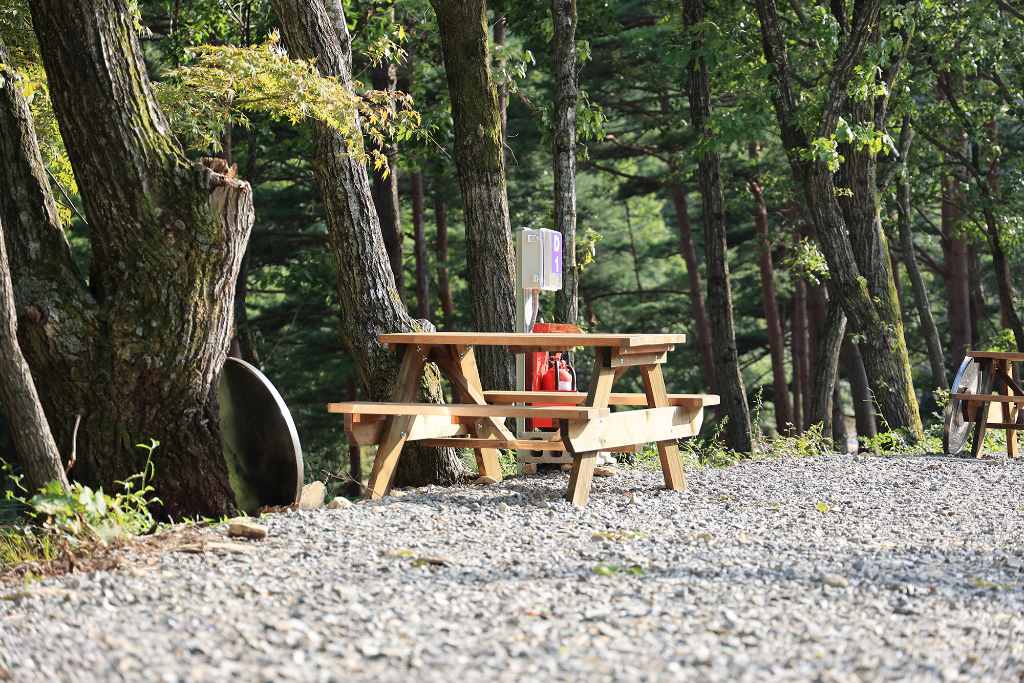 법수치오토캠핑장 이미지