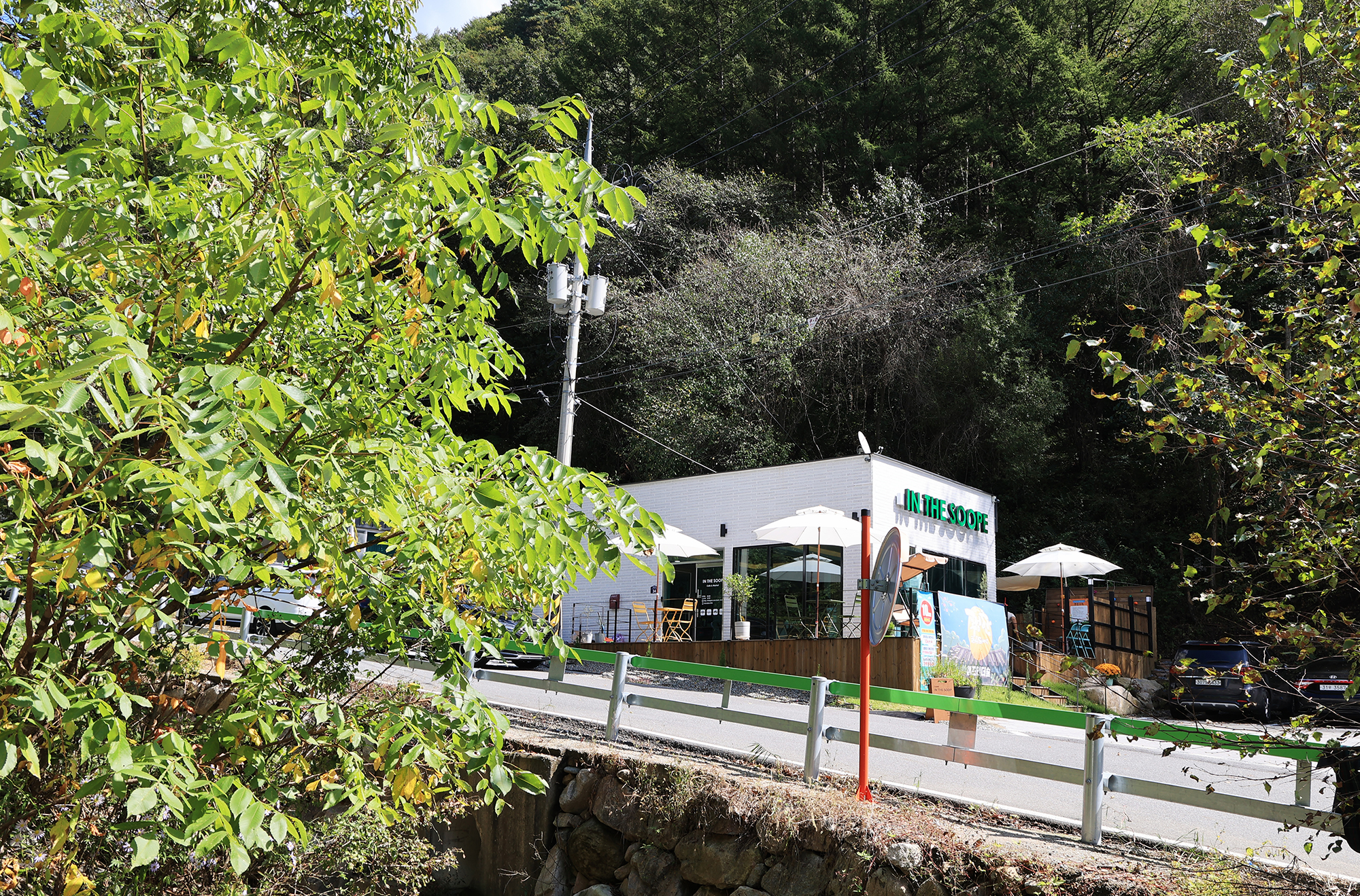 캠프 인더숲 이미지