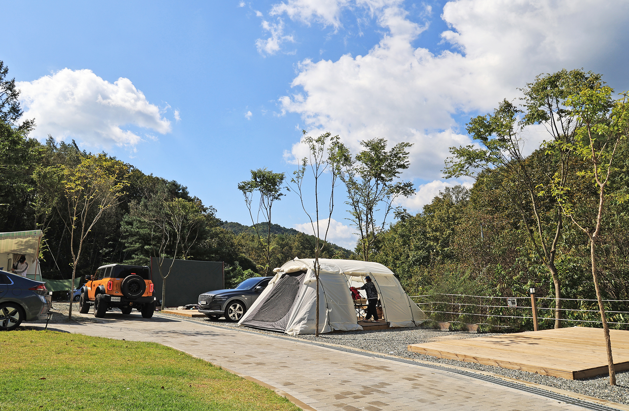 캠프 인더숲 이미지