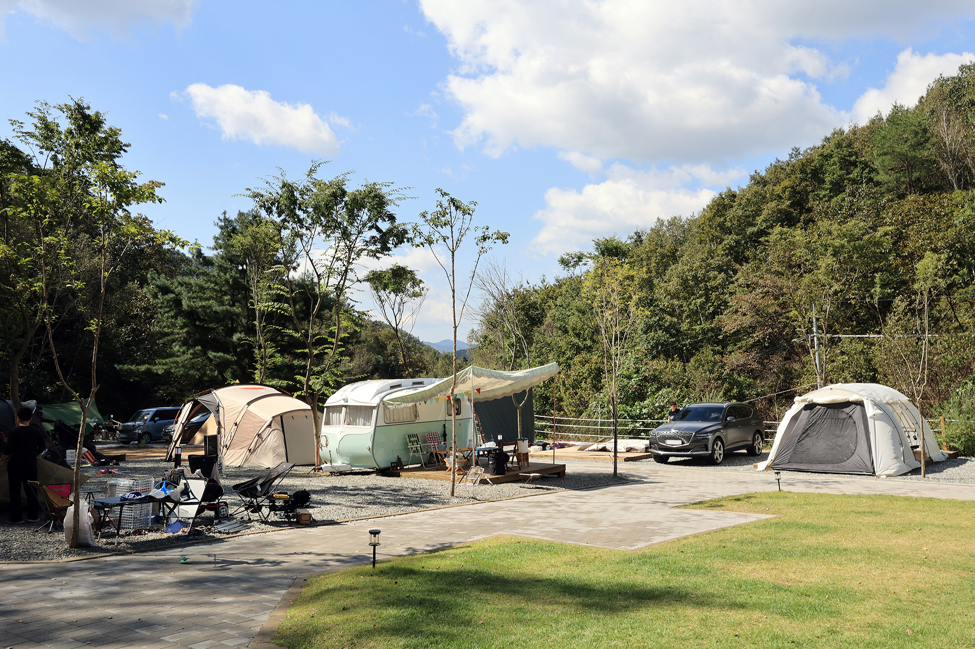 캠프 인더숲 이미지