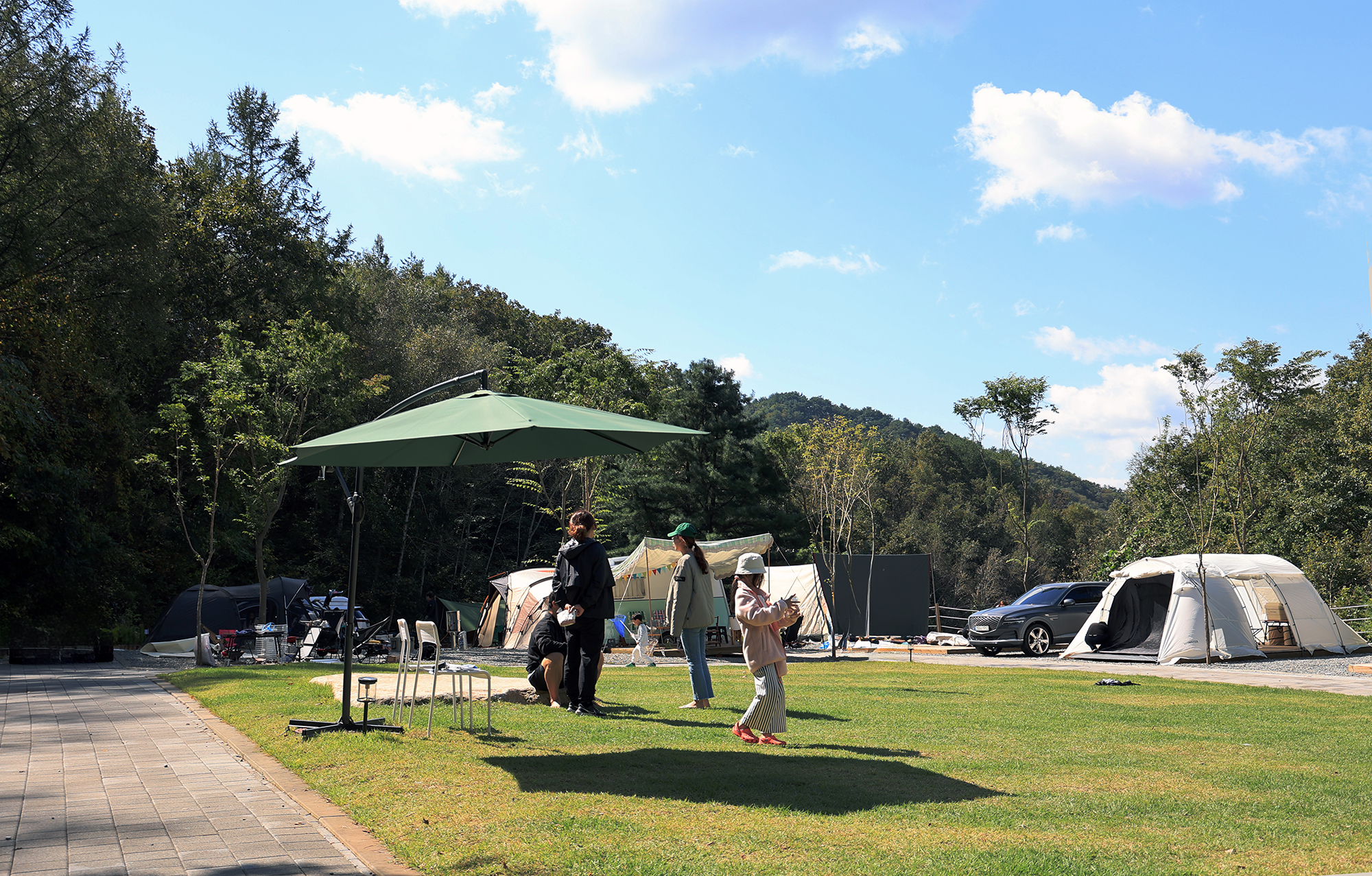 캠프 인더숲 이미지