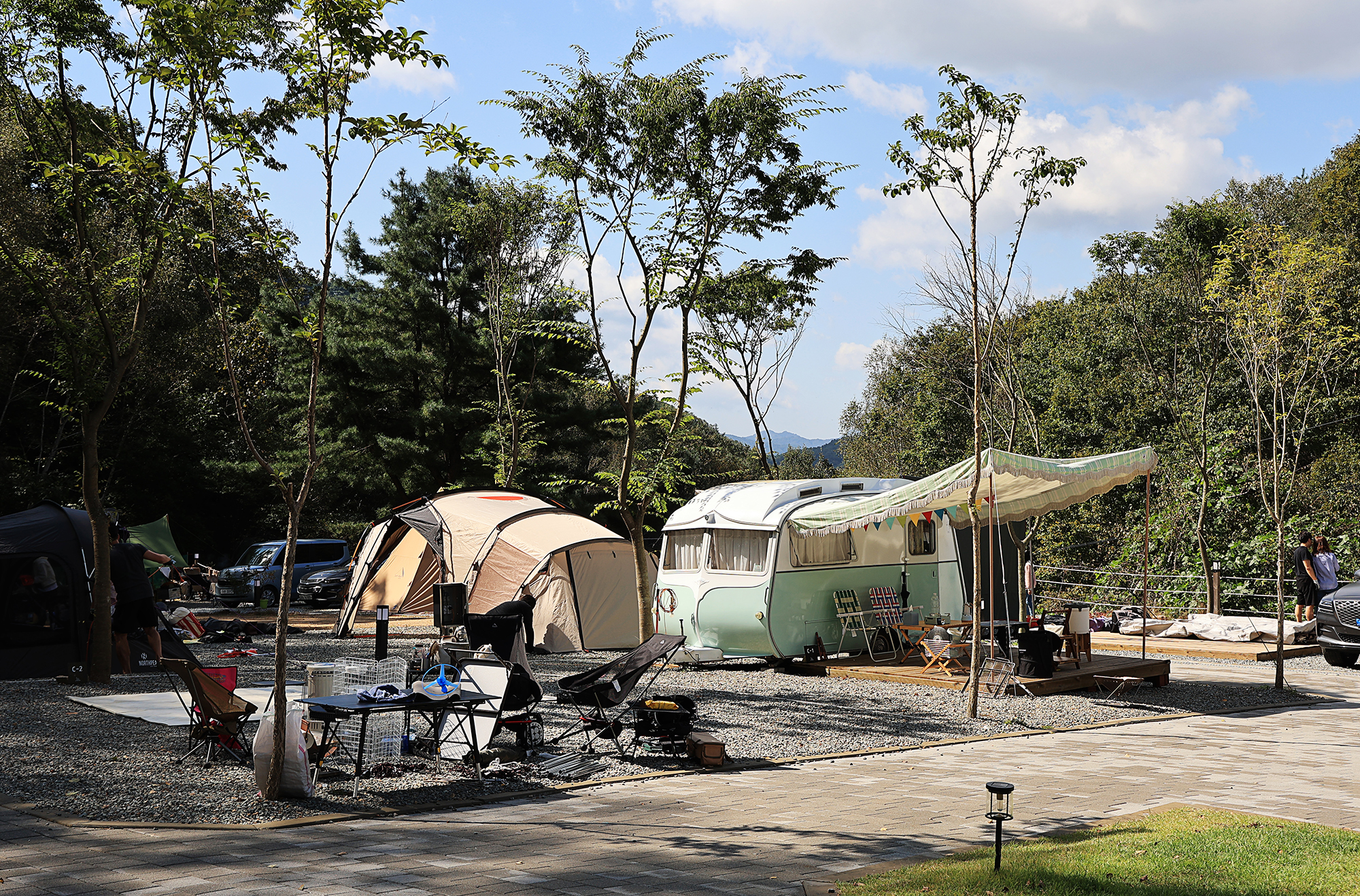 캠프 인더숲 이미지