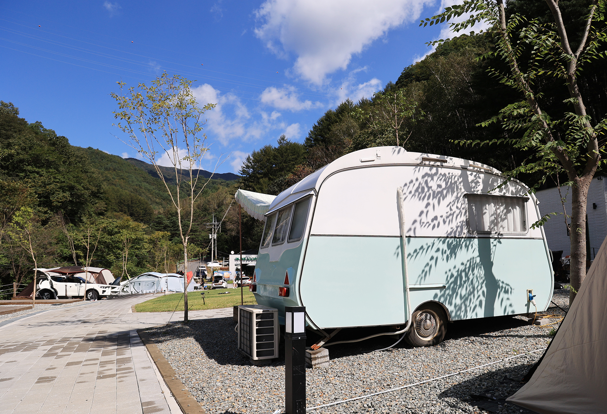 캠프 인더숲 이미지