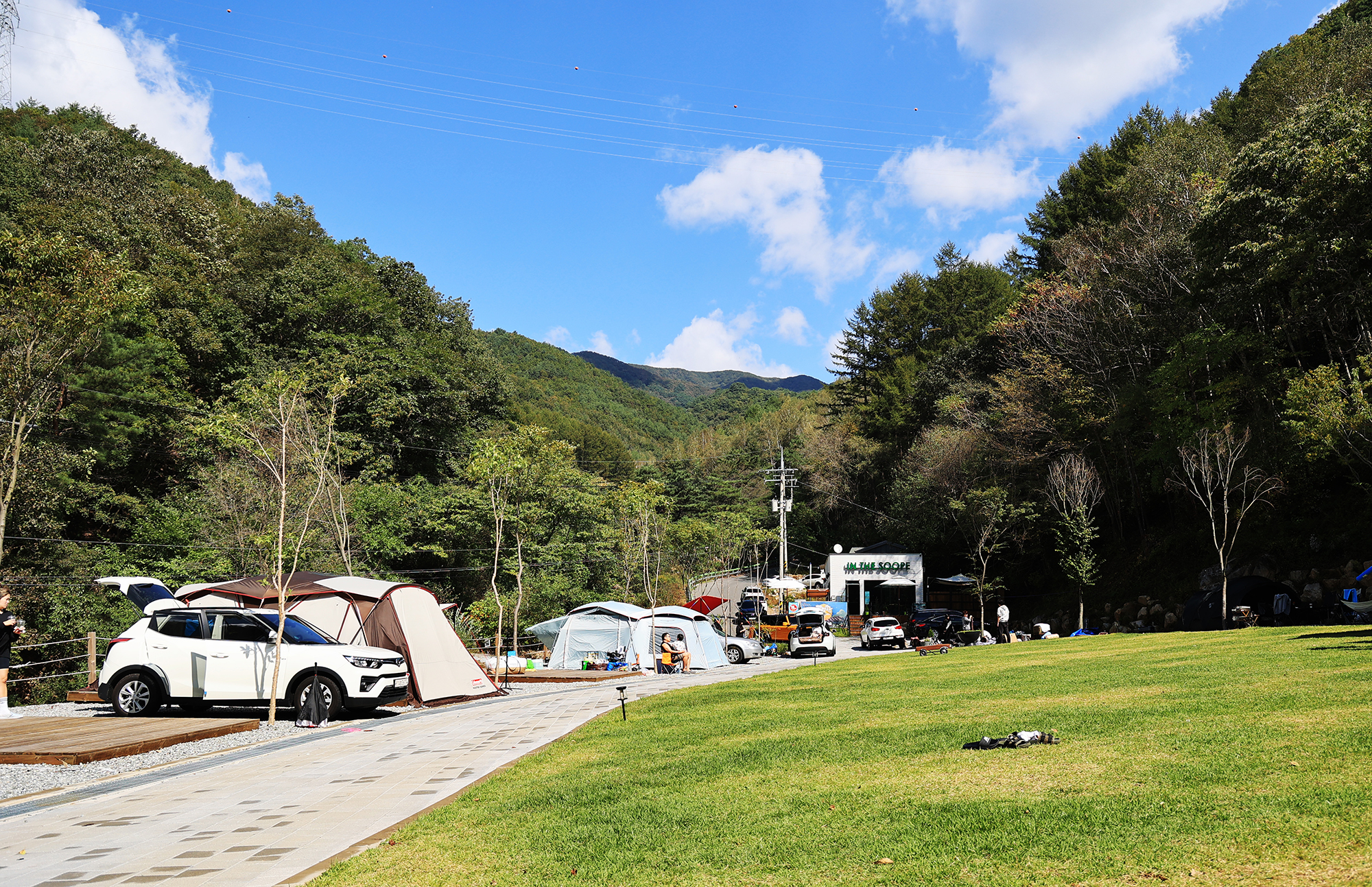 캠프 인더숲 이미지