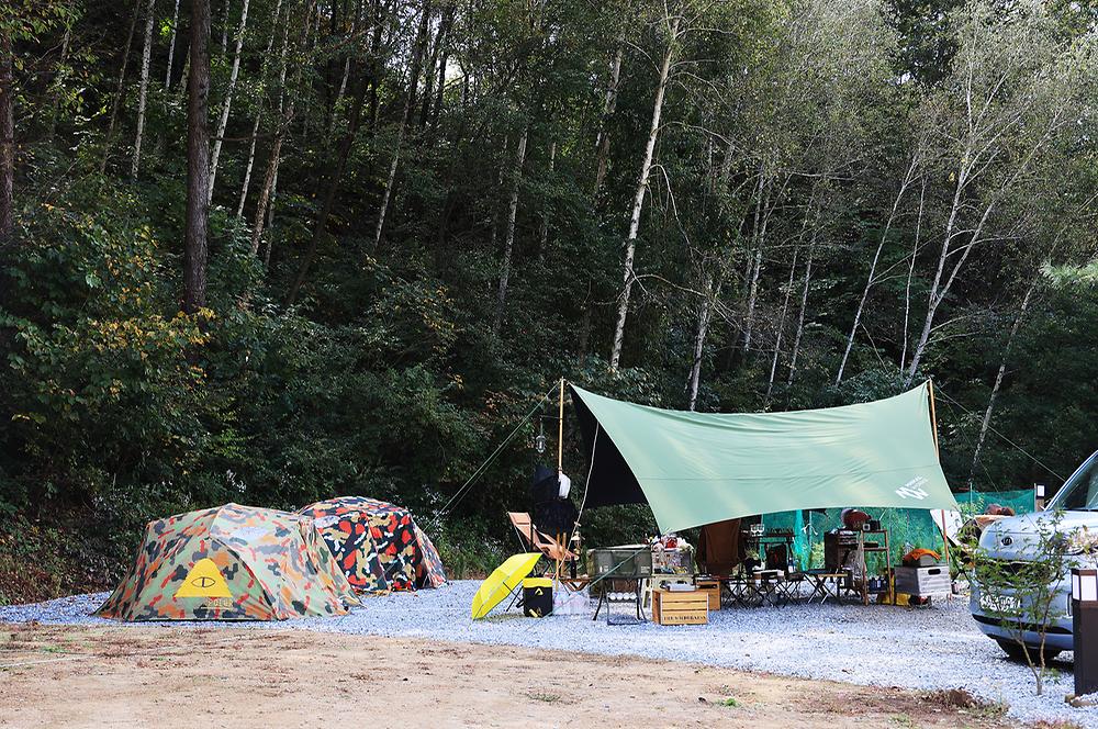 캠프 인더숲
