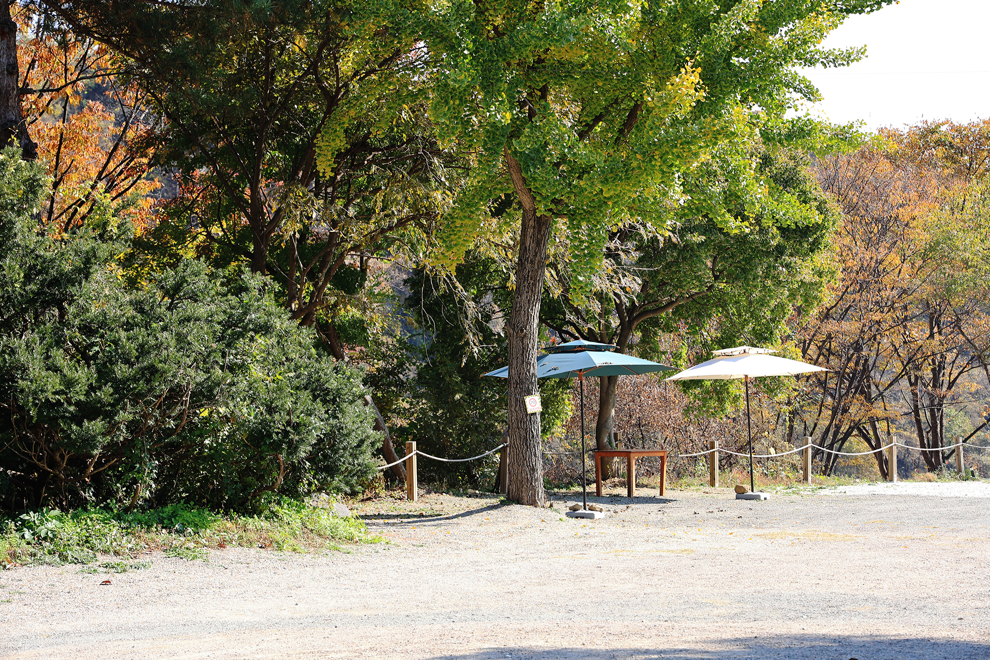 스톤브룩 캠핑장 이미지