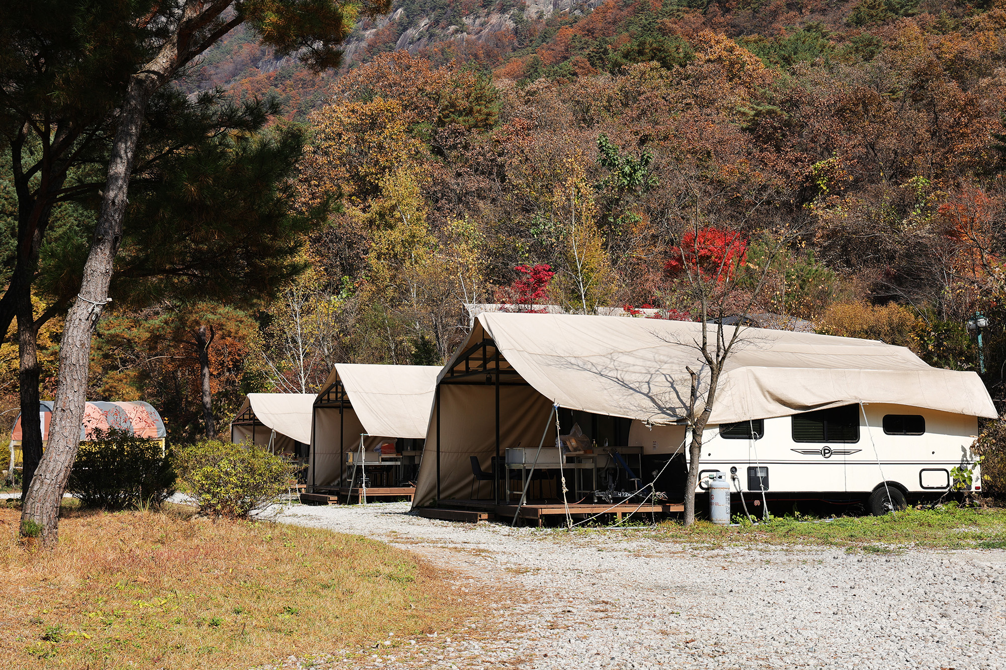 벤캠프(Ben Camp) 이미지