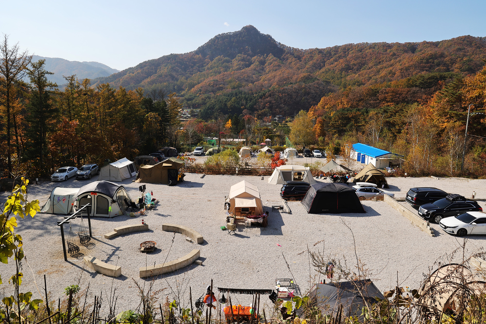 벤캠프(Ben Camp) 이미지