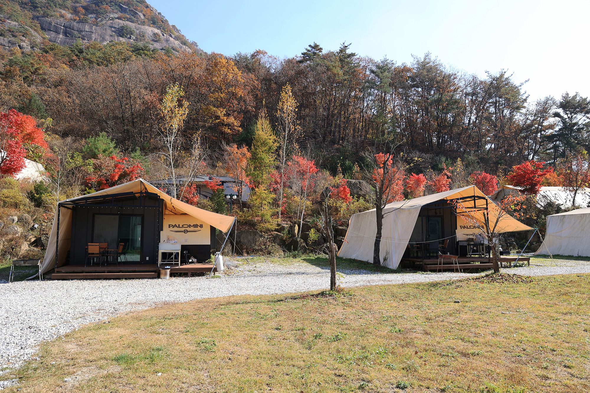 벤캠프(Ben Camp) 이미지