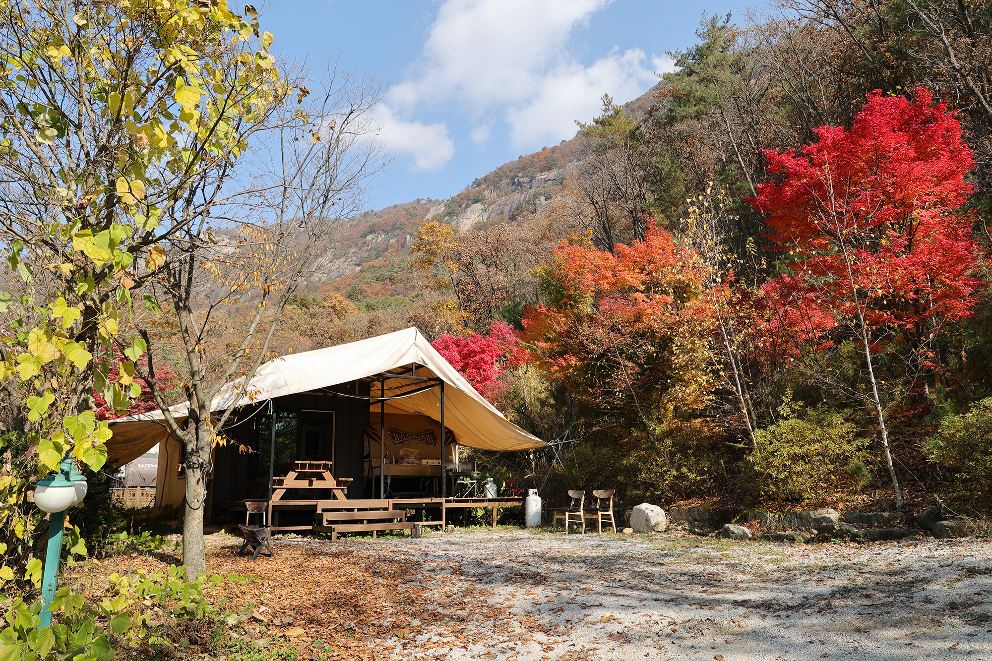 벤캠프(Ben Camp) 이미지