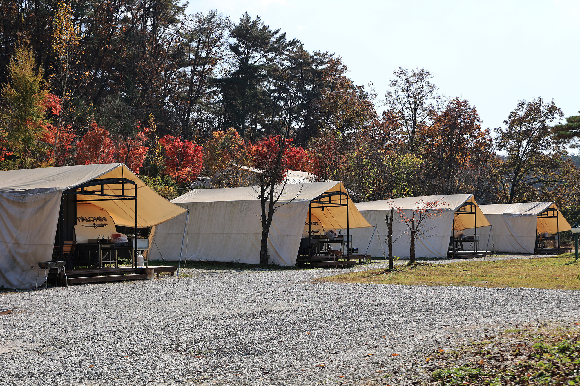 벤캠프(Ben Camp) 이미지