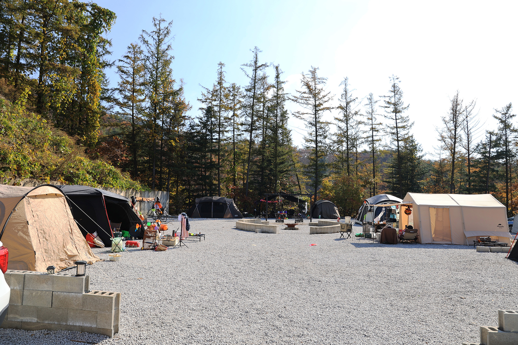 벤캠프(Ben Camp) 이미지