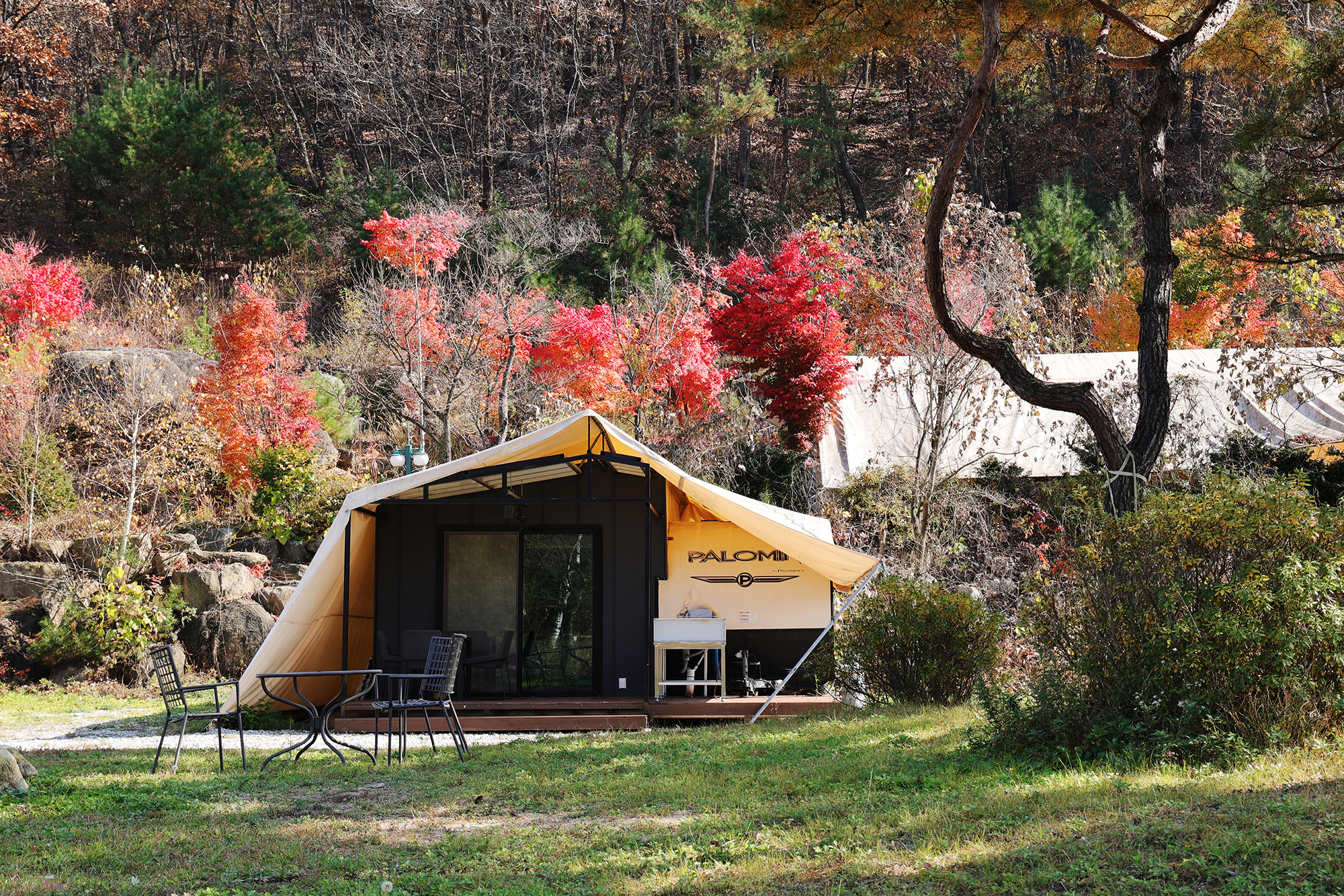 벤캠프(Ben Camp) 이미지