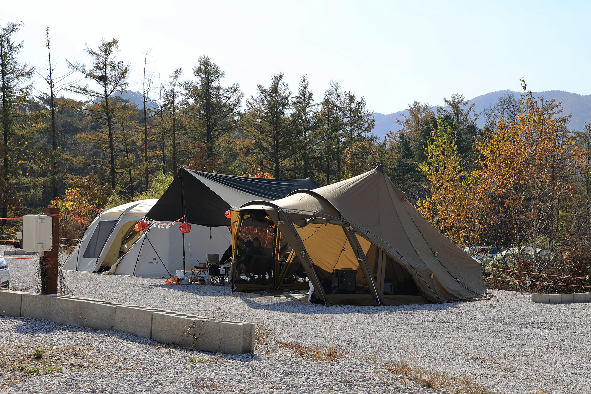 벤캠프(Ben Camp) 이미지