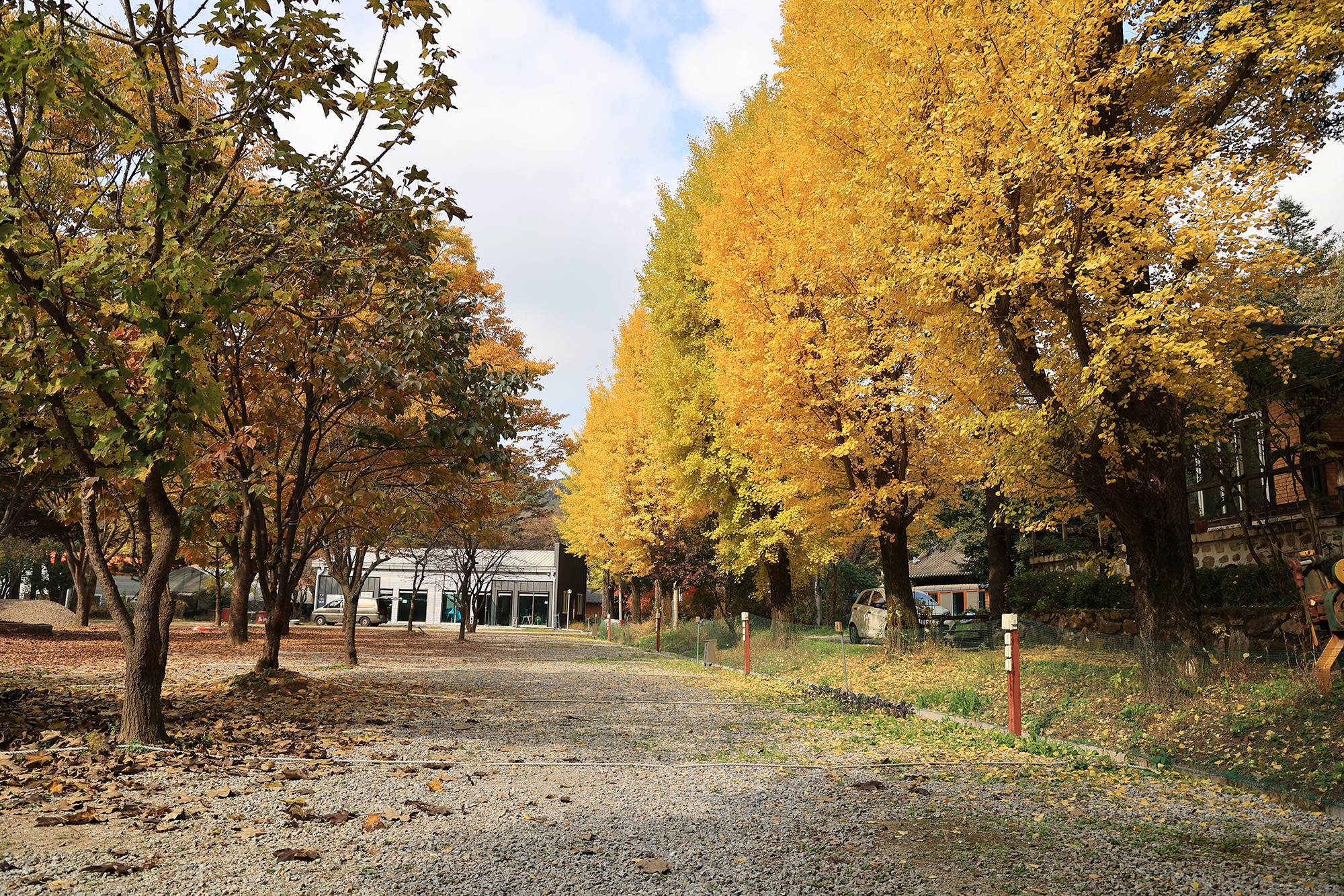 일영Star캠핑장 이미지