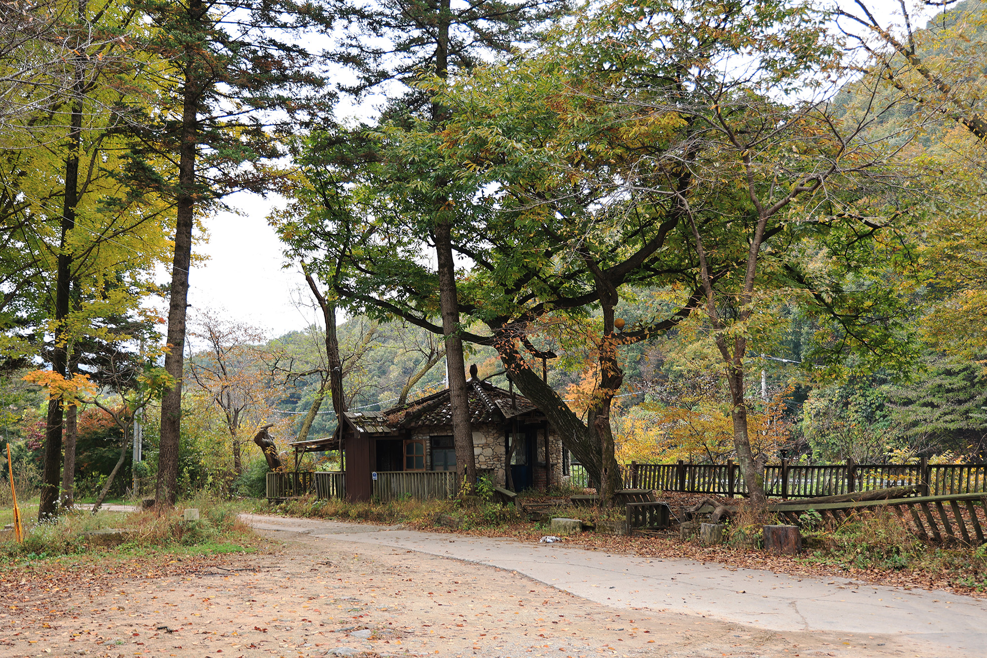 양주 일영Star캠핑장 9