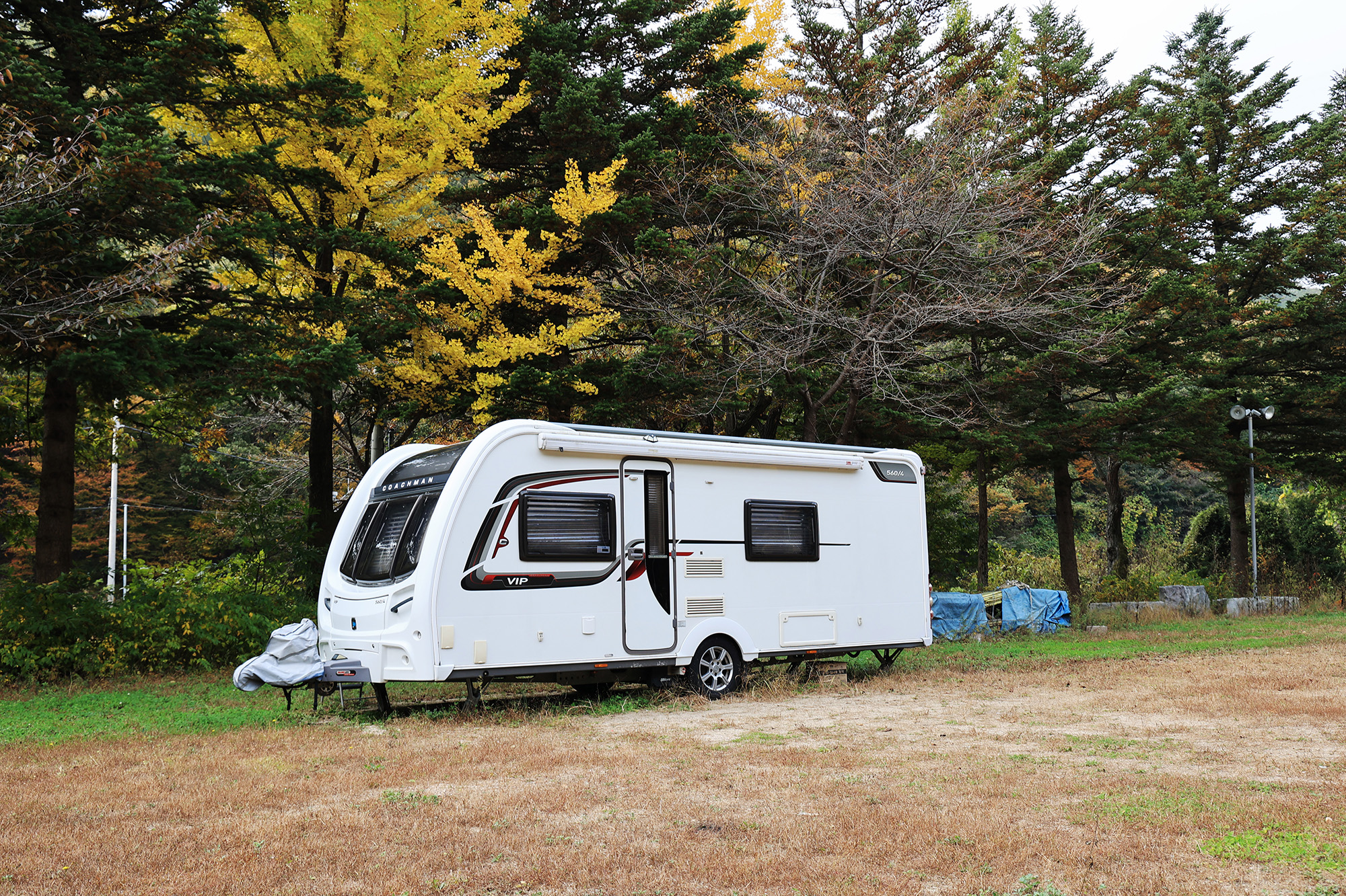 일영Star캠핑장 이미지