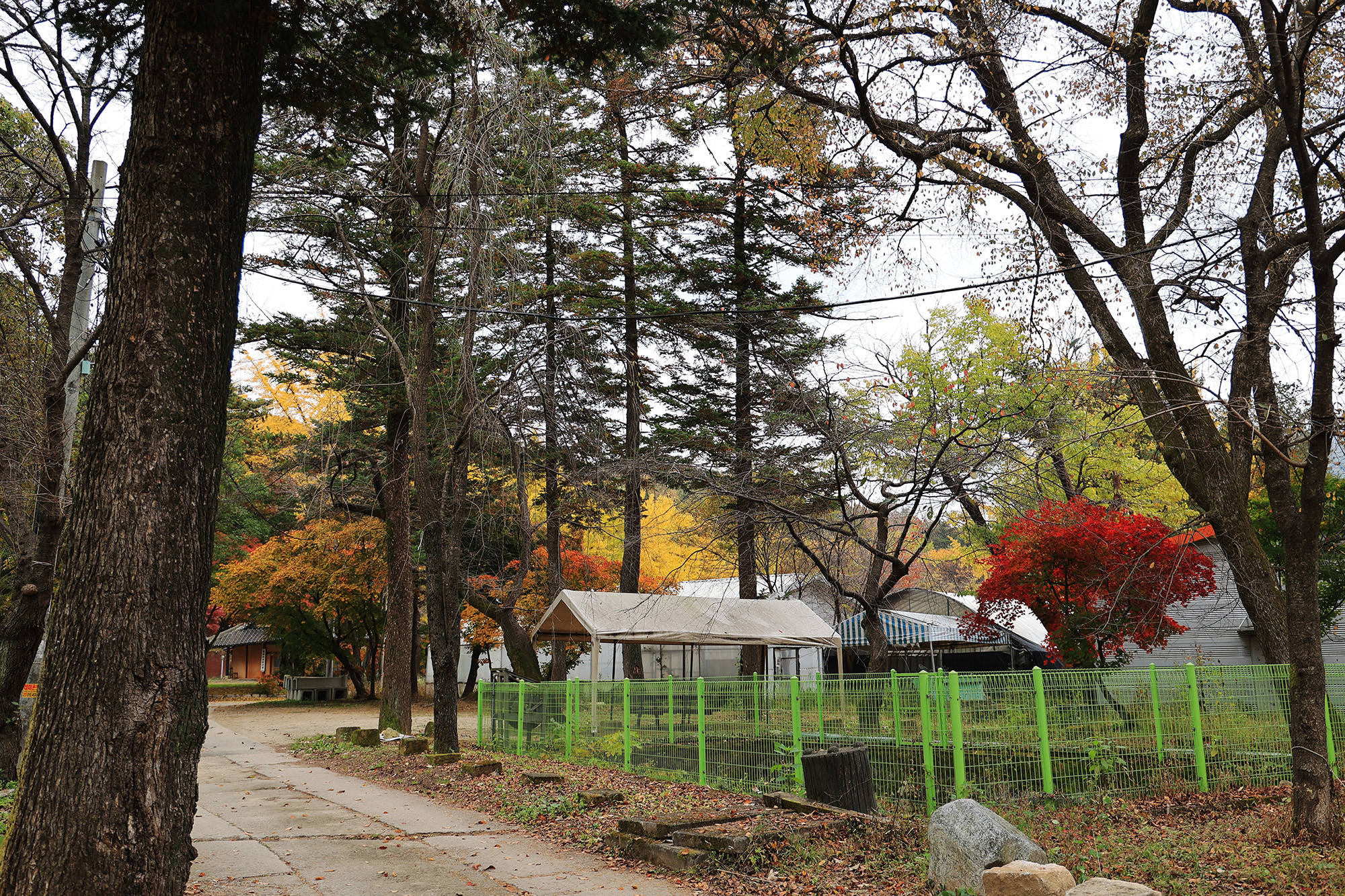 양주 일영Star캠핑장 8