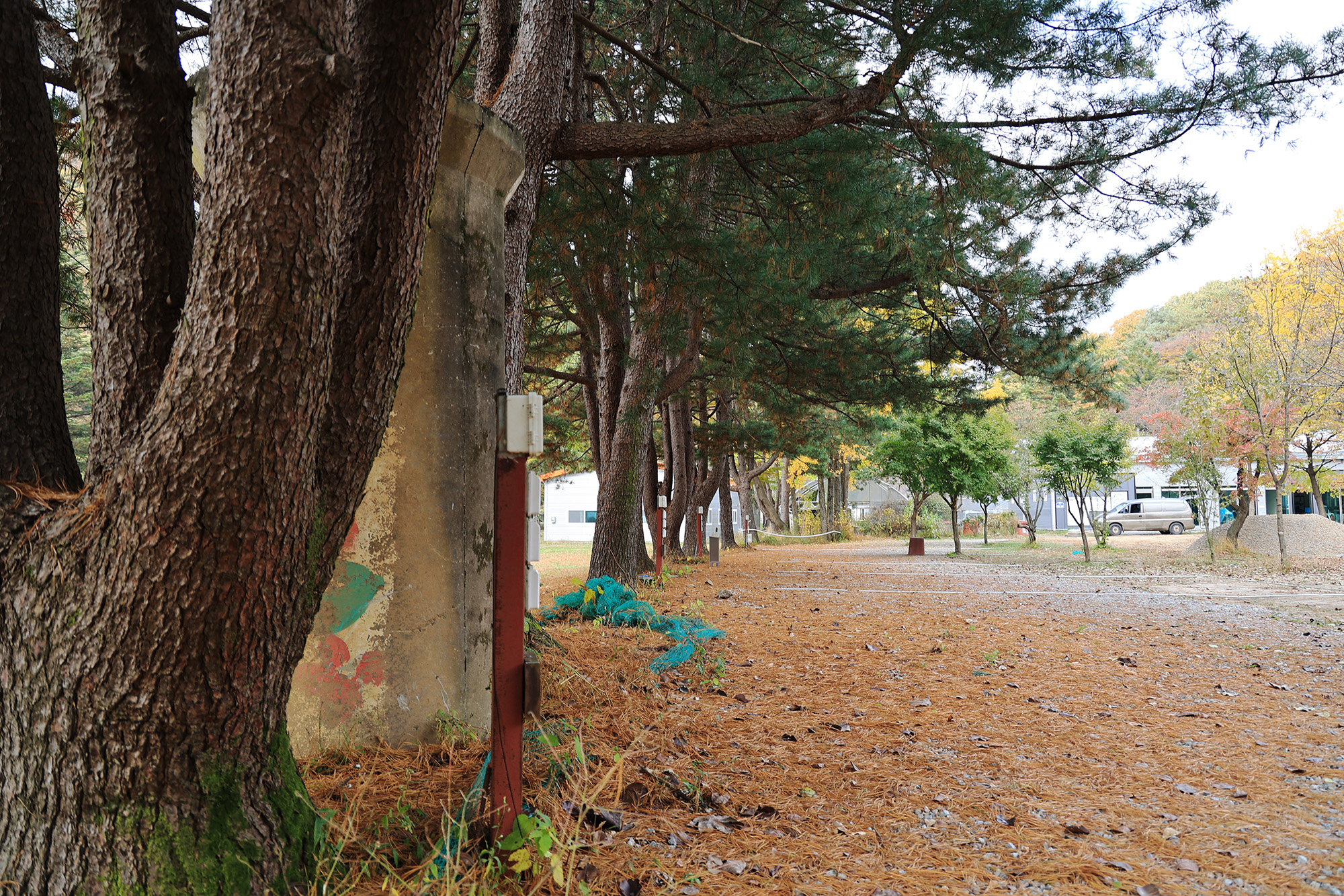 일영Star캠핑장 이미지