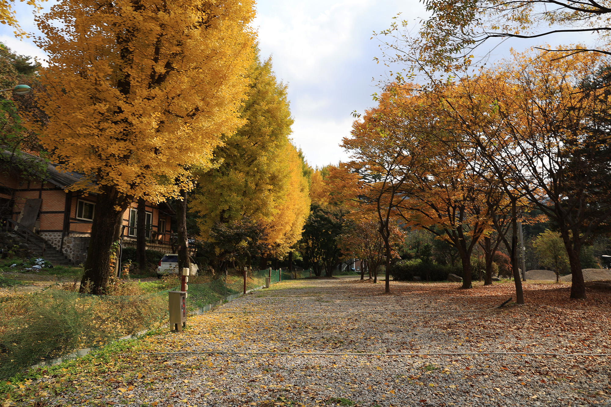 일영Star캠핑장 이미지