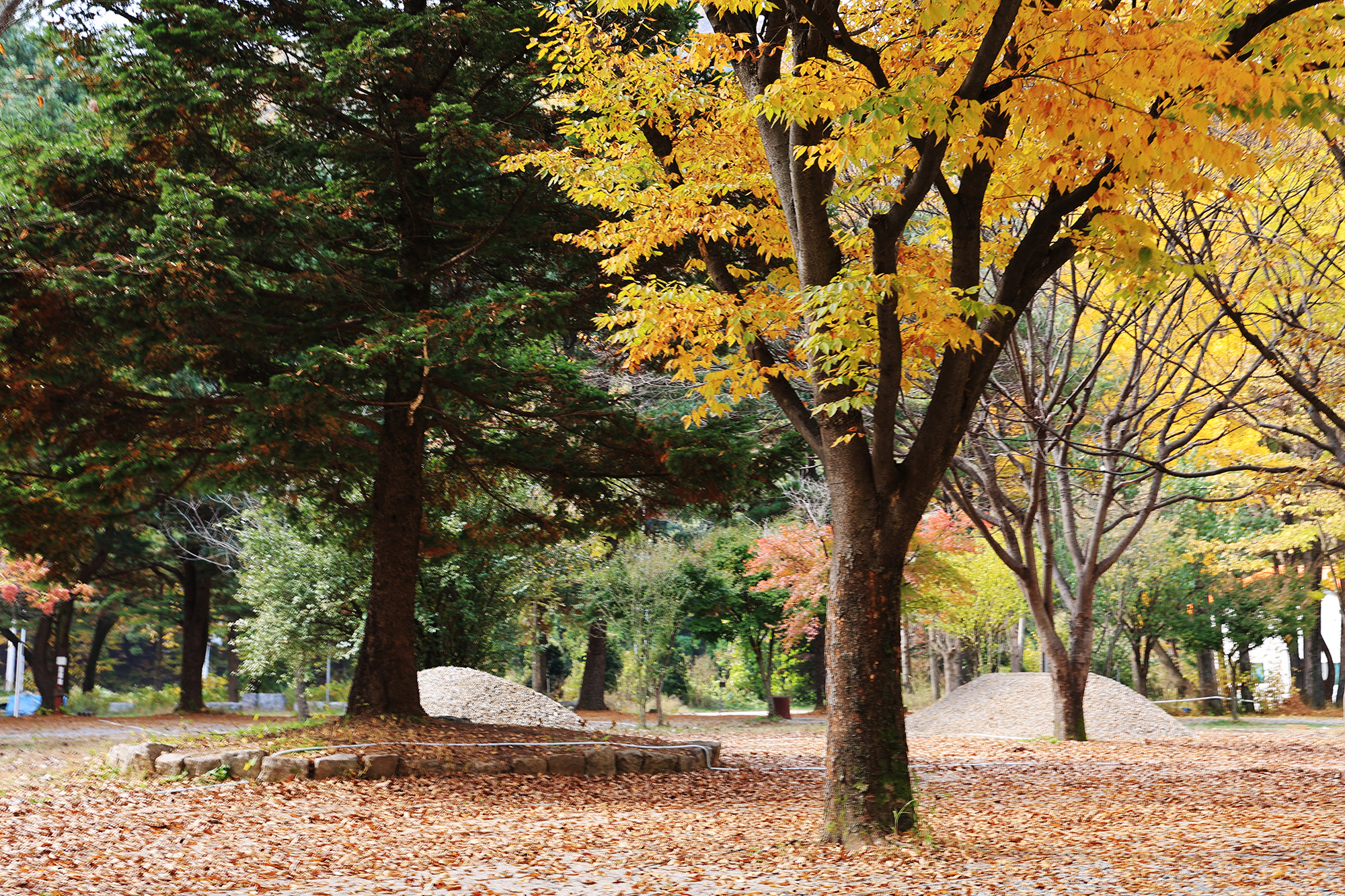 일영Star캠핑장 이미지