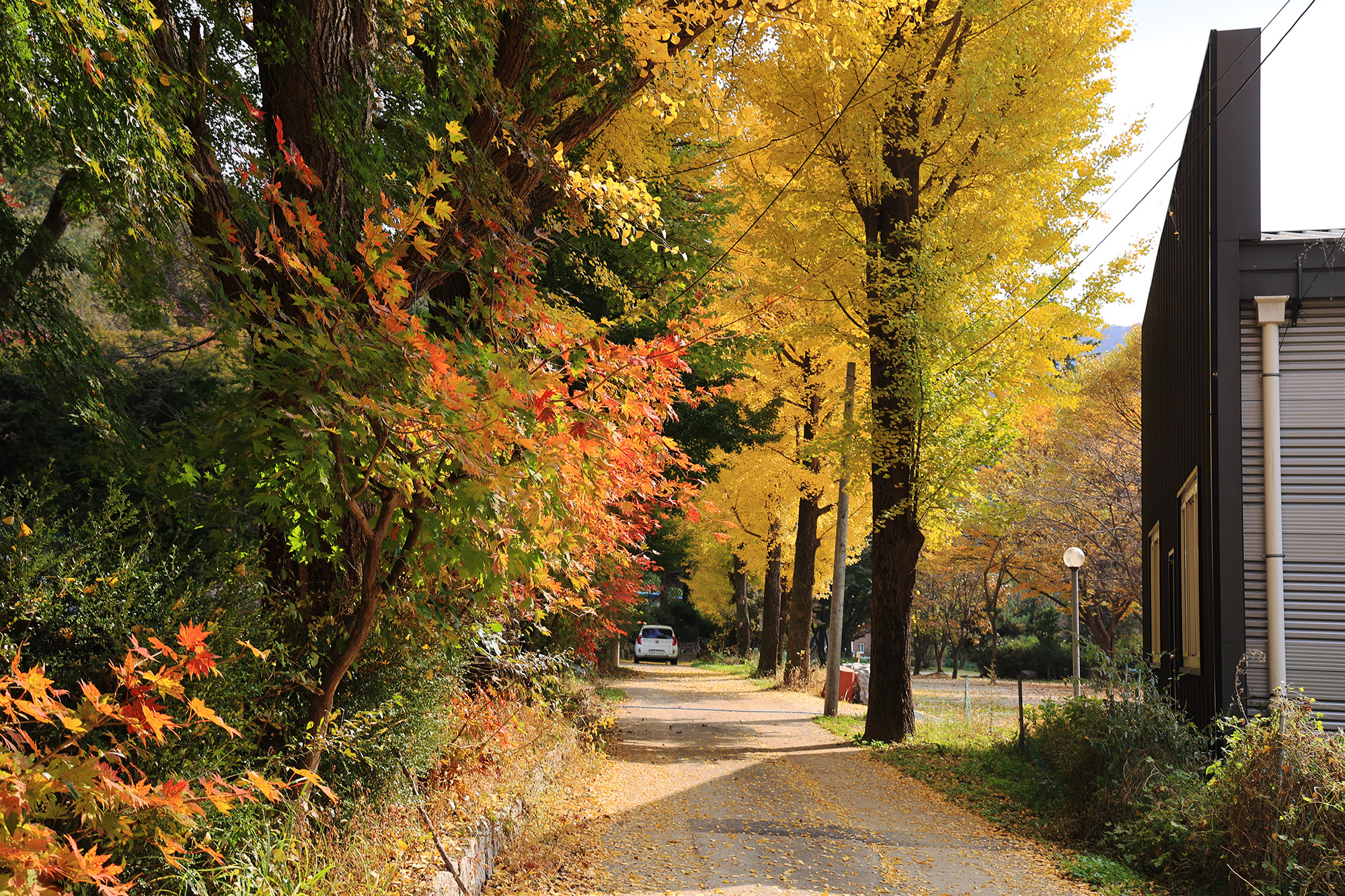 양주 일영Star캠핑장 10