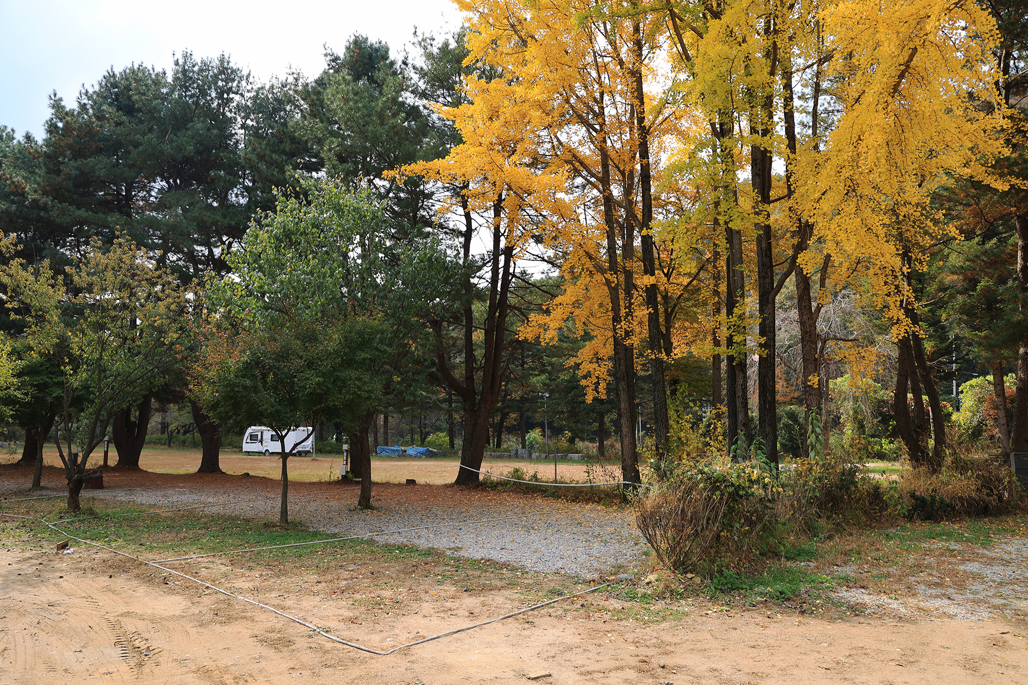 양주 일영Star캠핑장 5