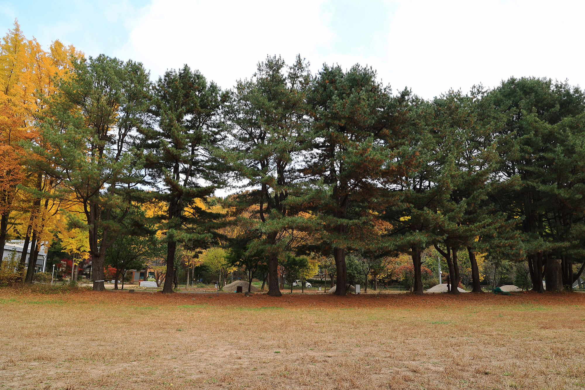 일영Star캠핑장 이미지