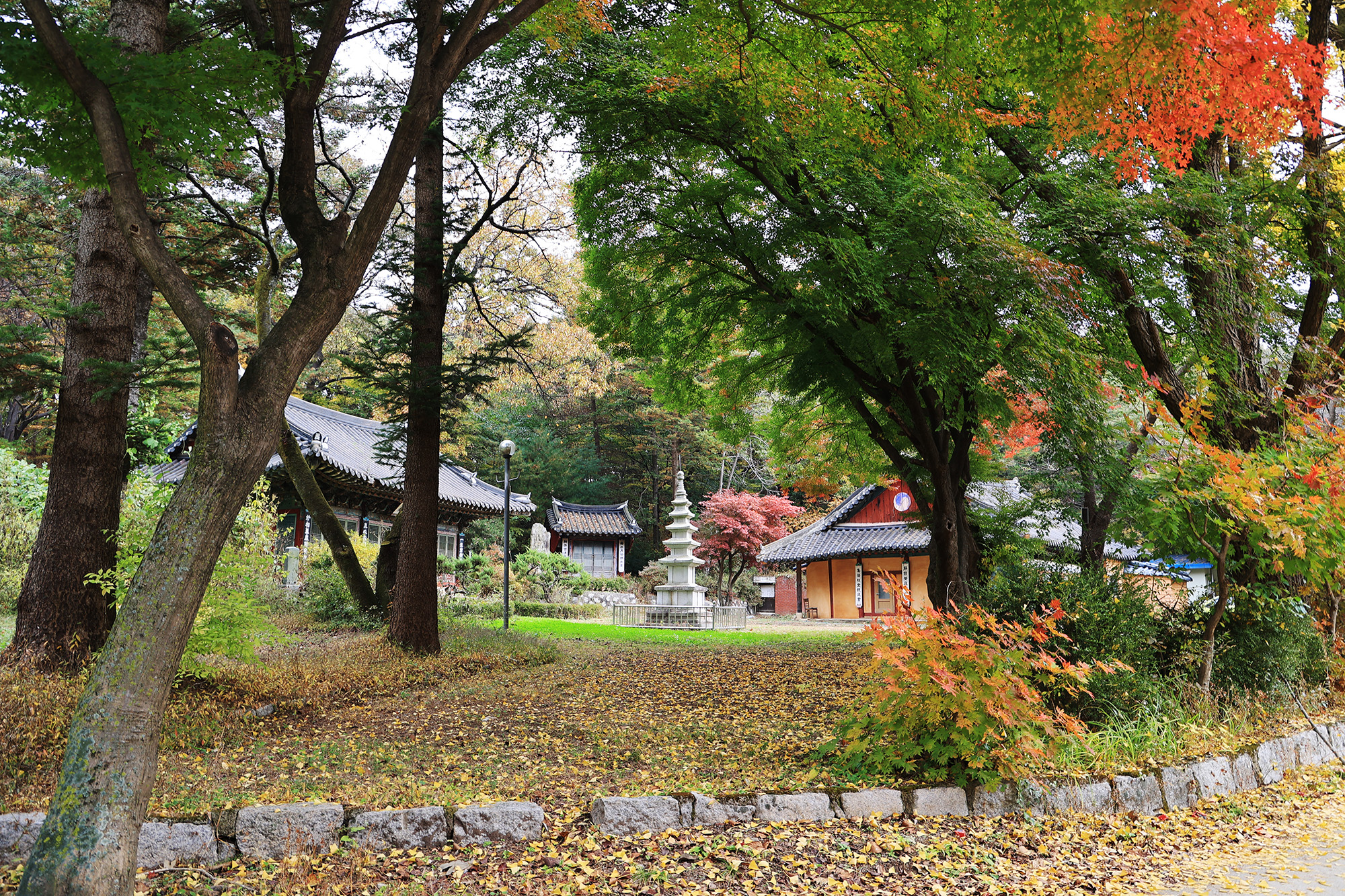 양주 일영Star캠핑장 7
