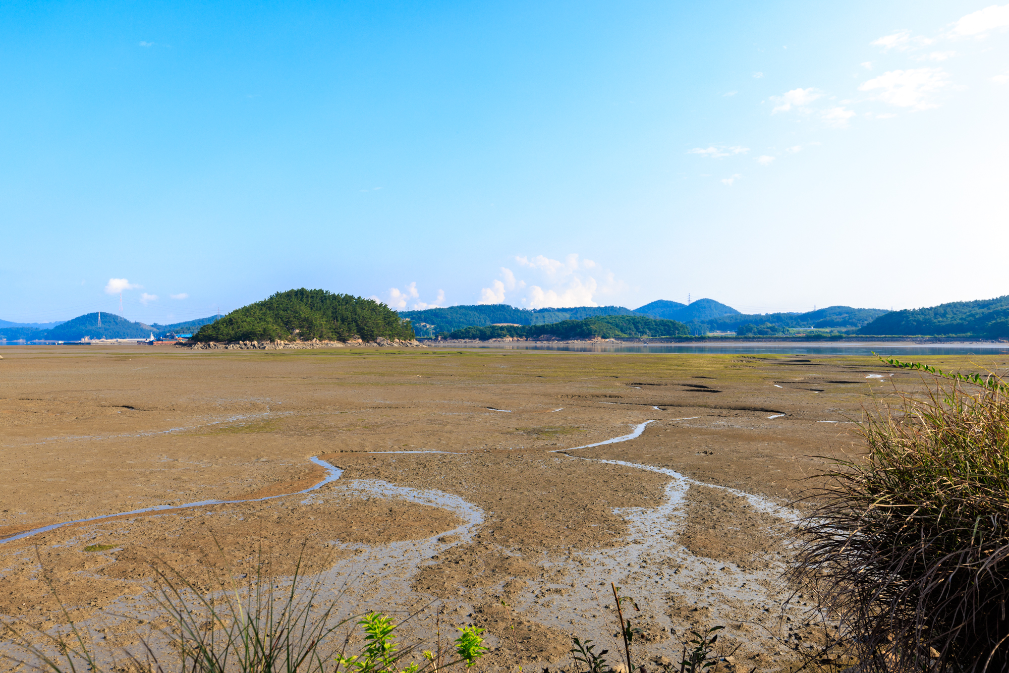 THE쉼오토캠핑장 이미지