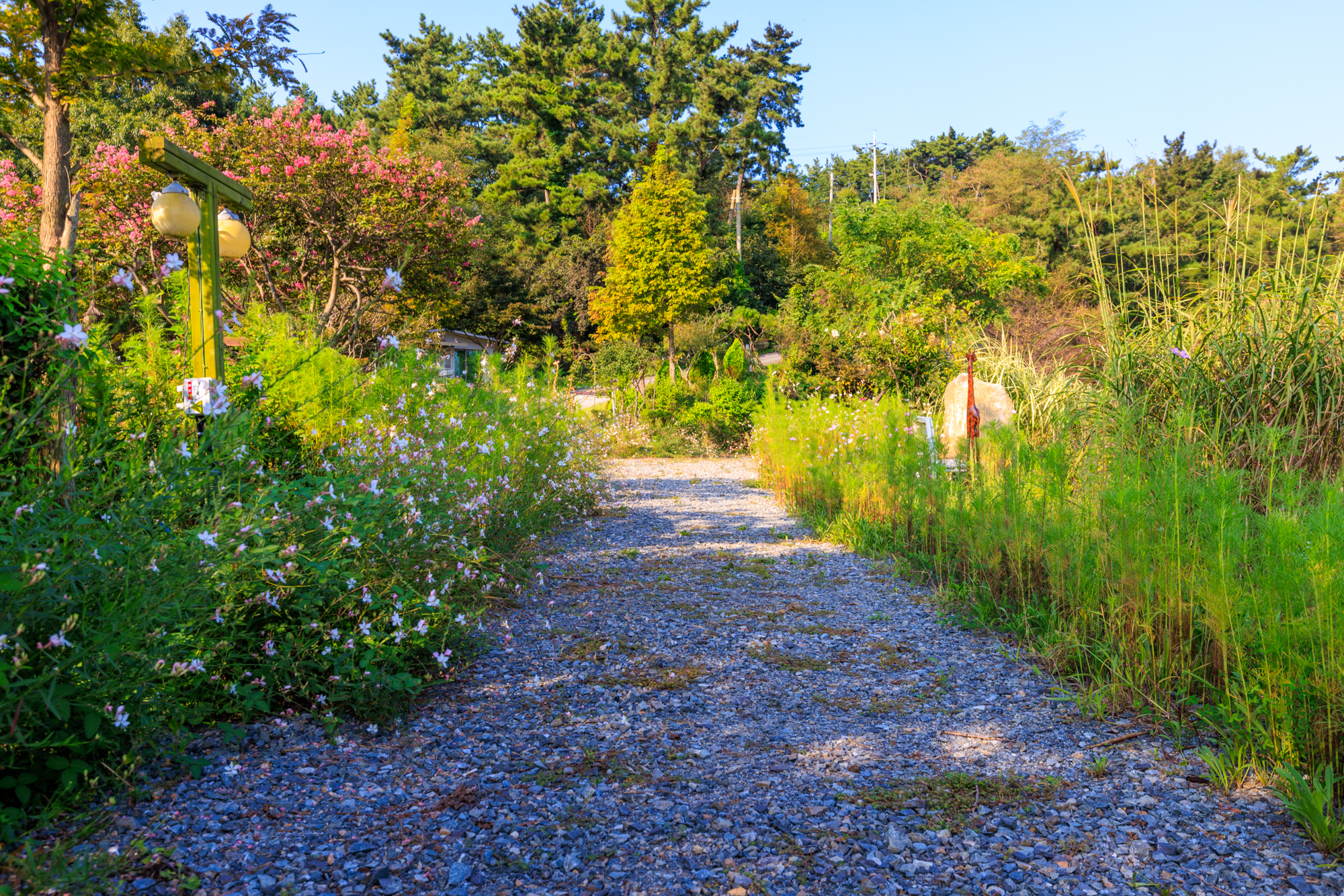 THE쉼오토캠핑장 이미지