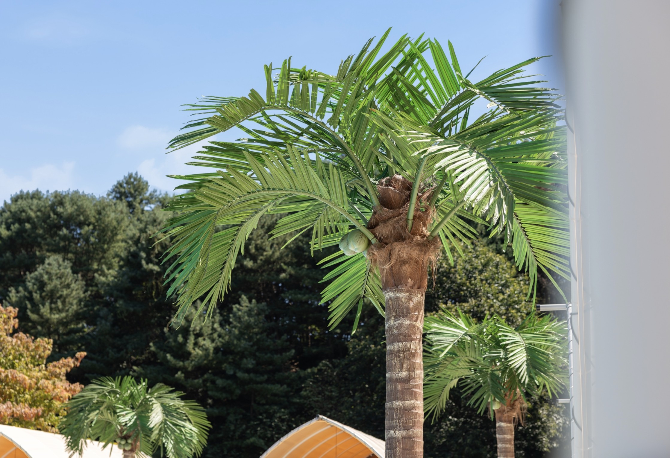 루체른 14번째 이미지