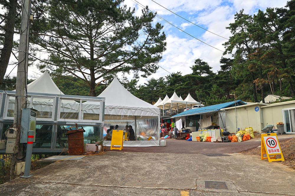 휴식관광농원캠핑장