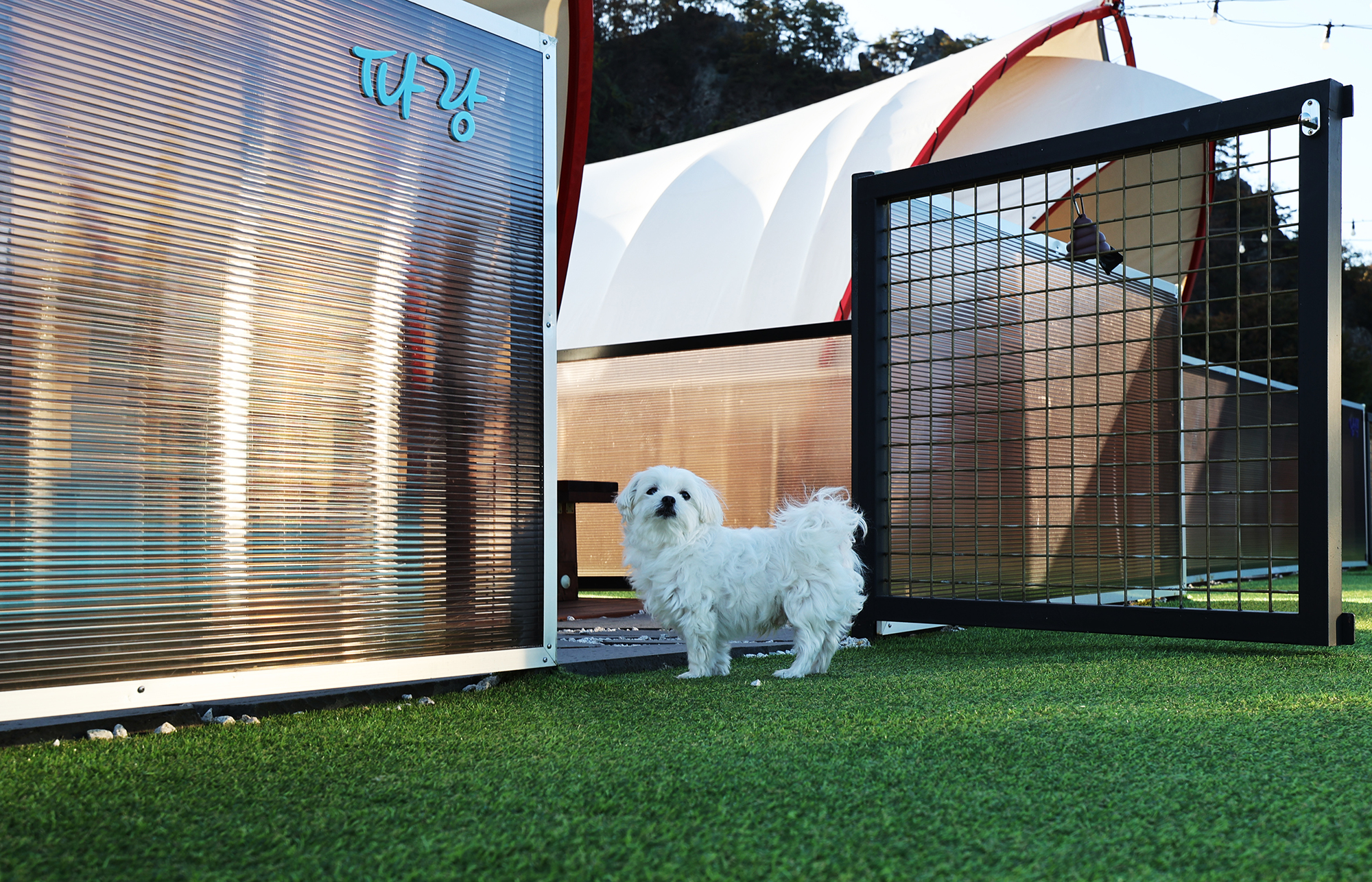 쏘쿨이네 글램핑 이미지