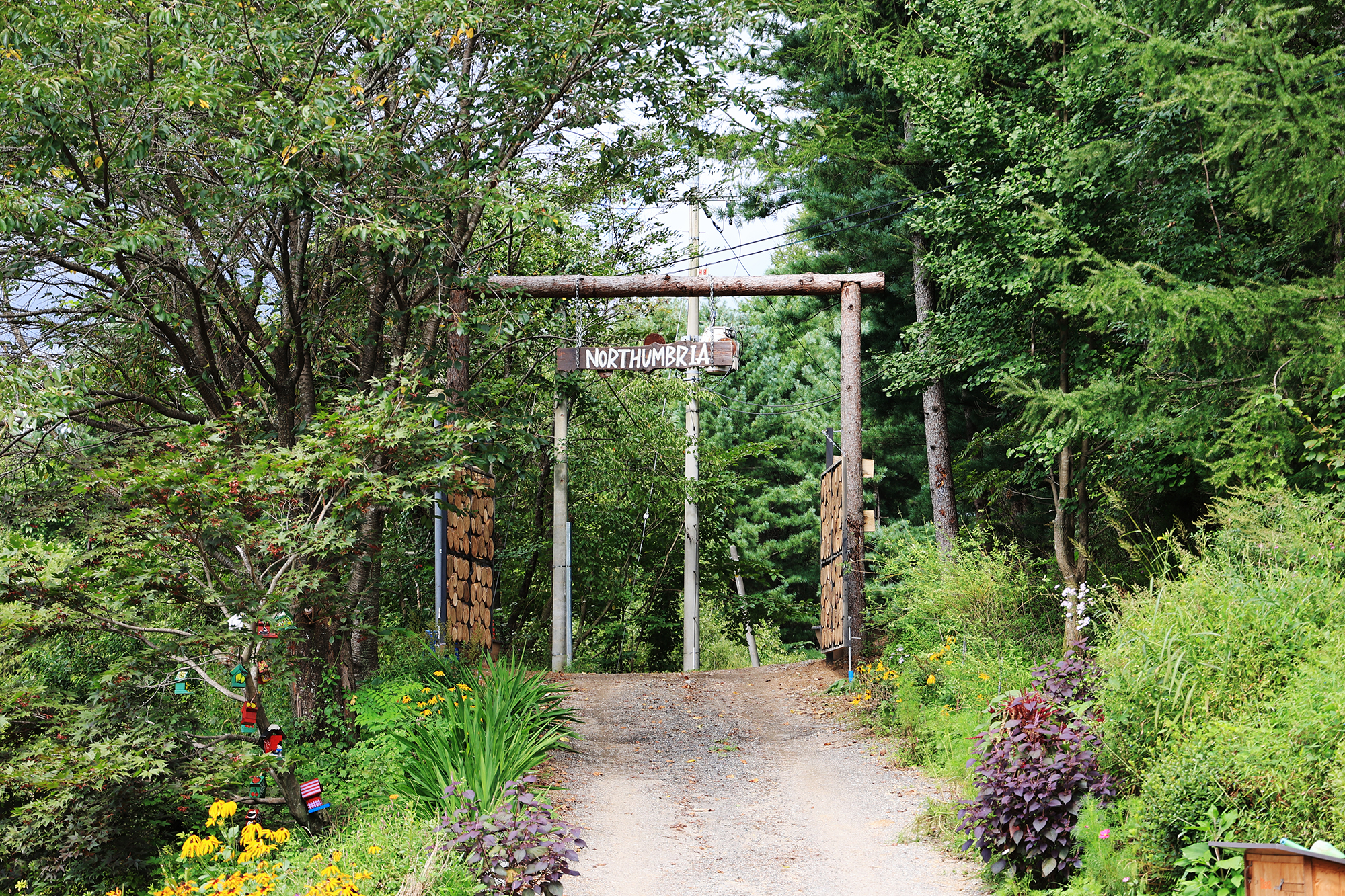 노섬브리아 야영장 이미지