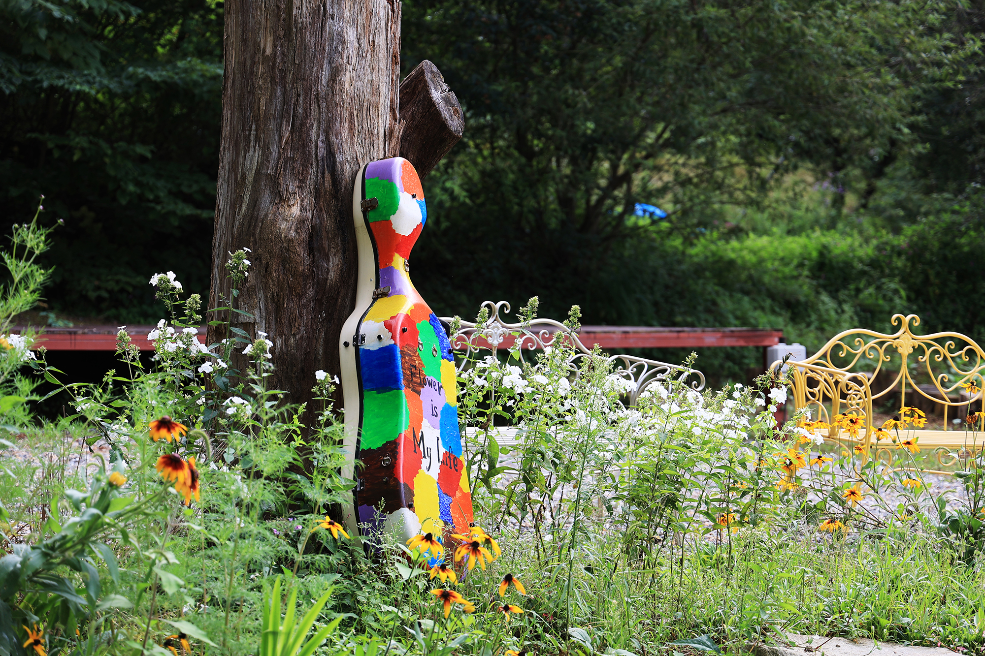 노섬브리아 야영장 이미지