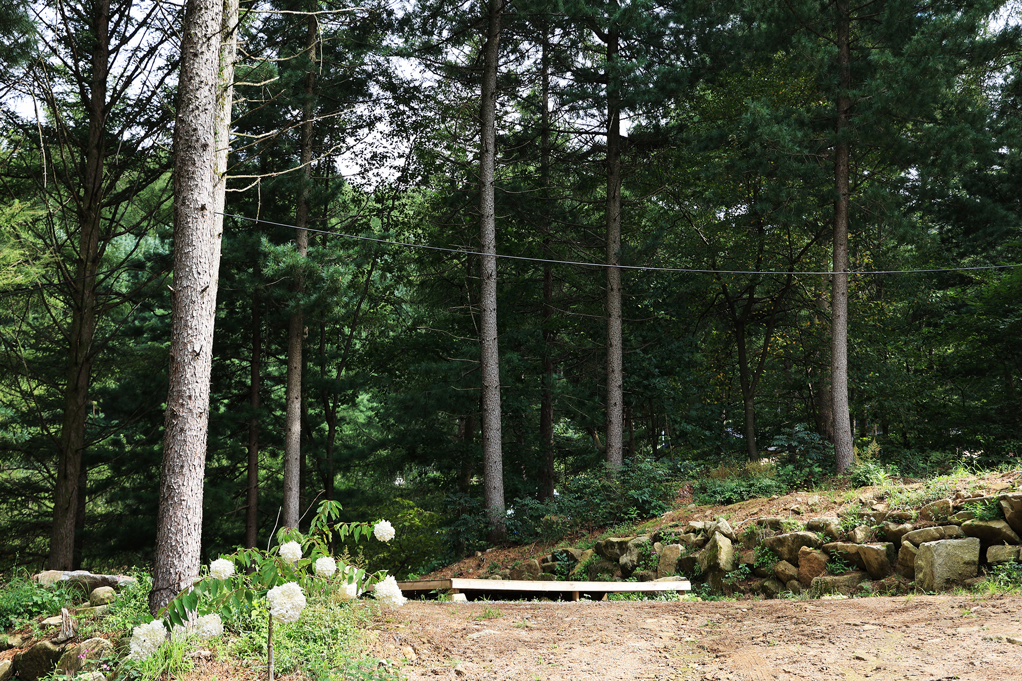 노섬브리아 야영장 이미지