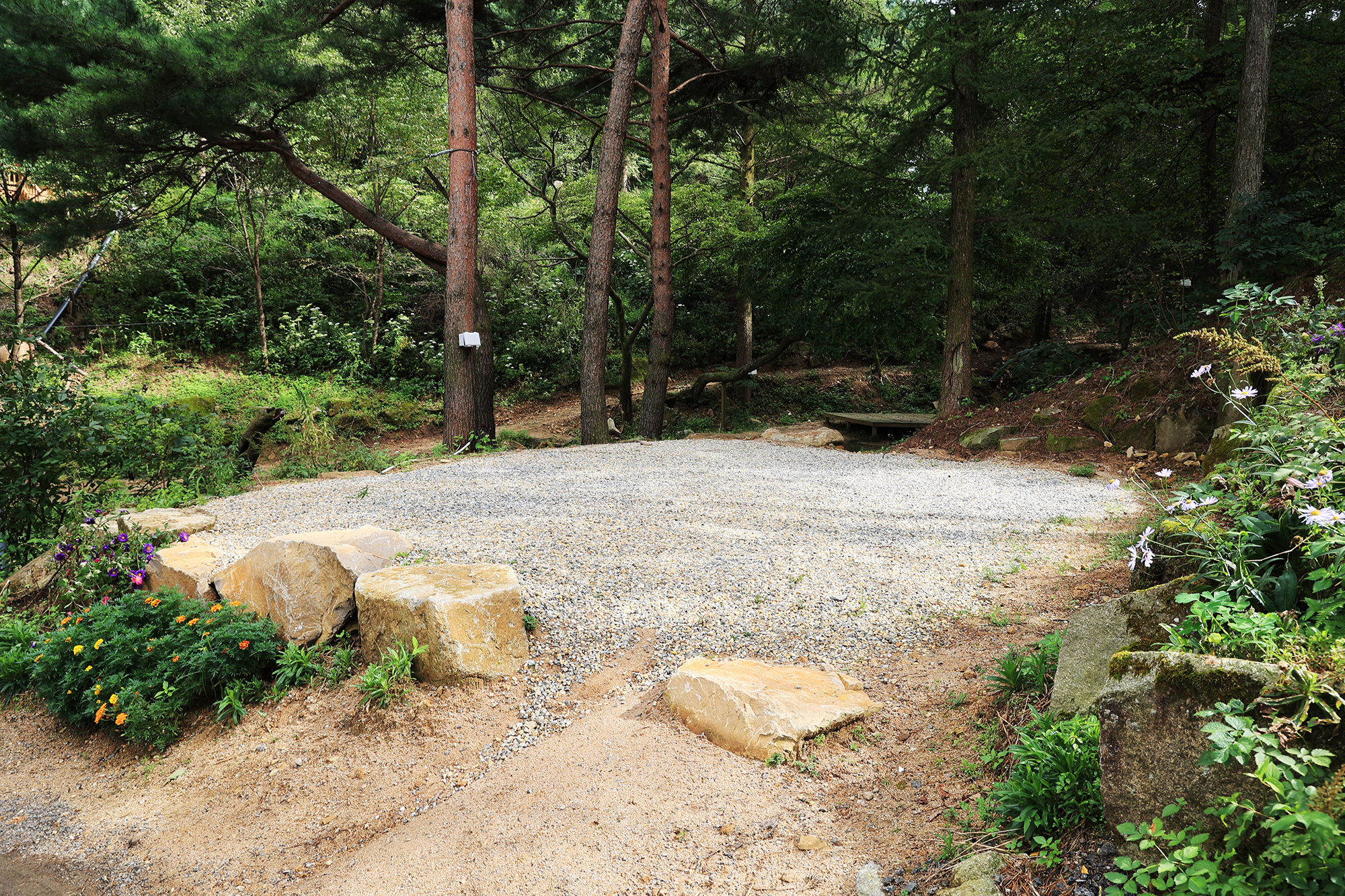 노섬브리아 야영장 이미지