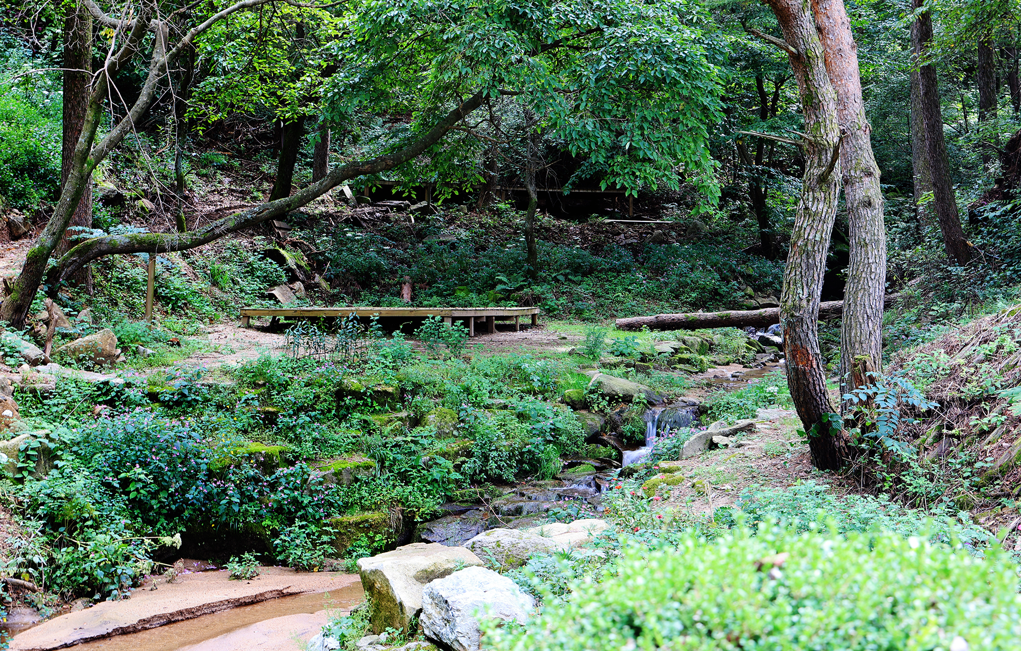 노섬브리아 야영장 이미지