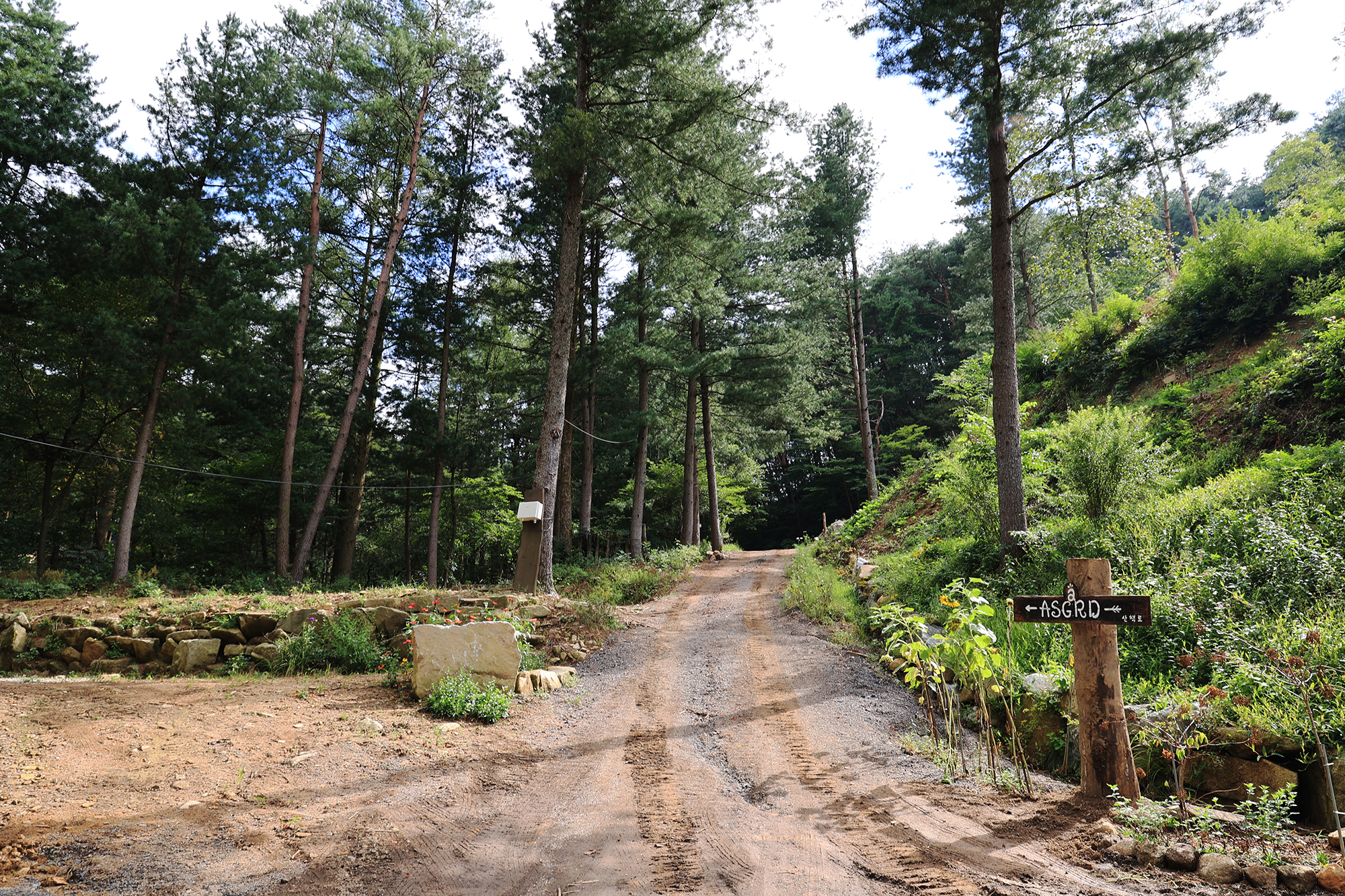 노섬브리아 야영장 이미지