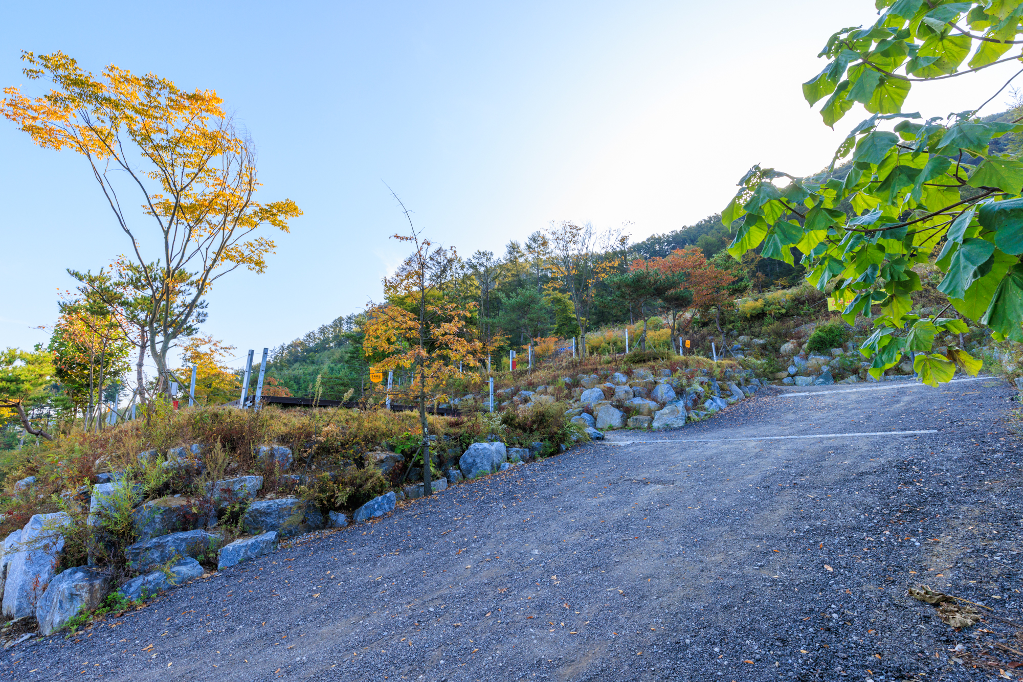 낭성 캠핑장 이미지