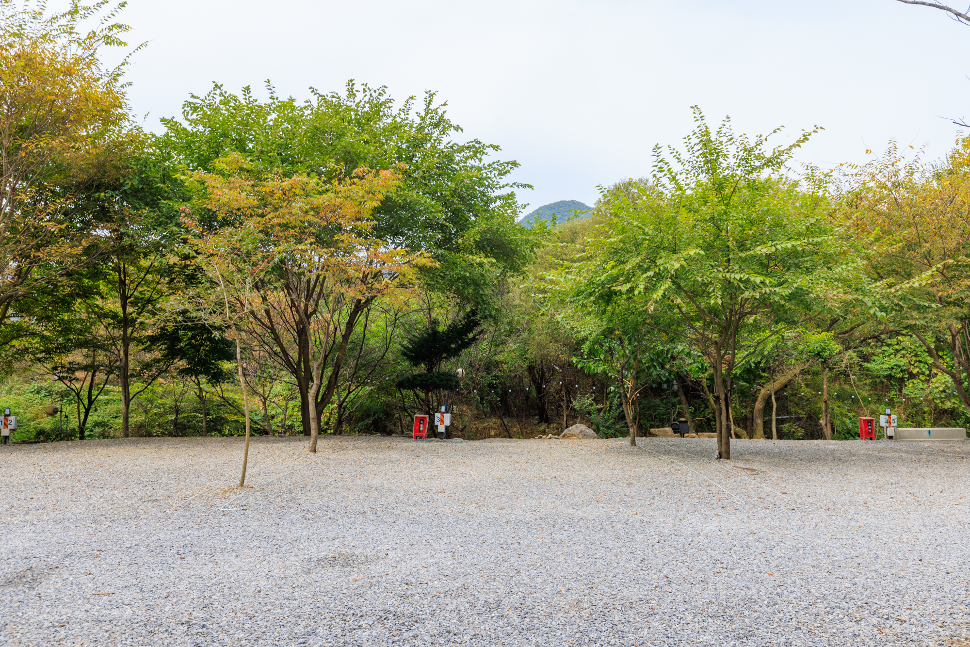 타닥타닥캠핑장 이미지