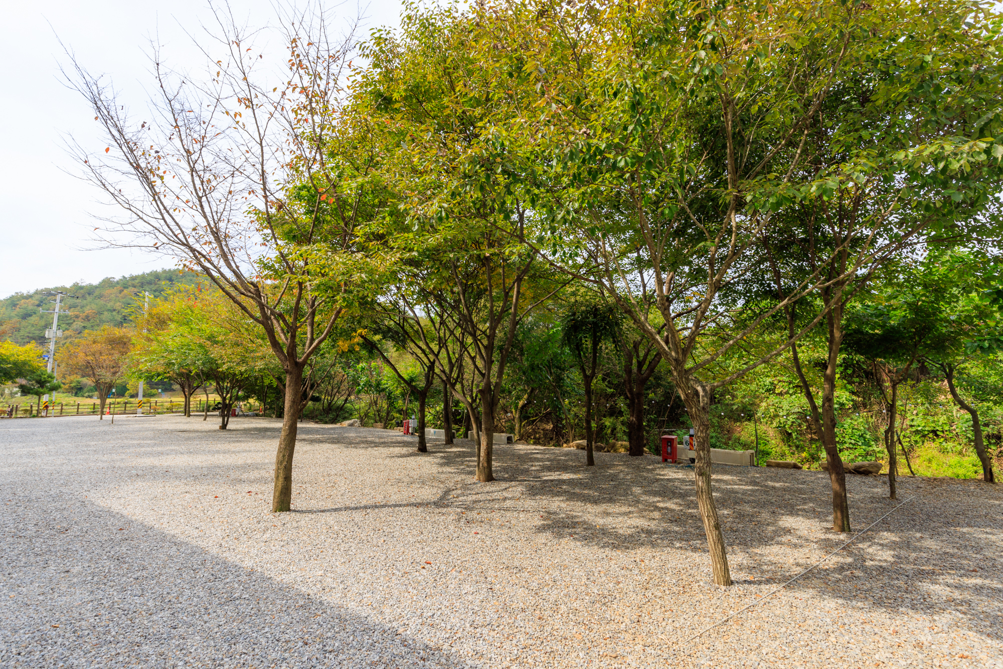 타닥타닥캠핑장 이미지