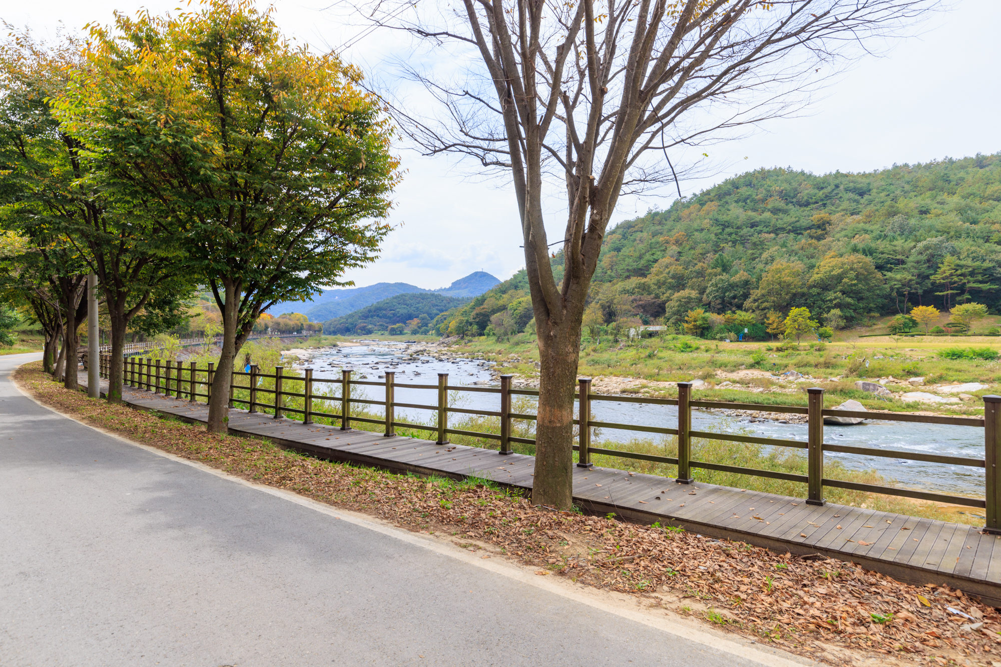 타닥타닥캠핑장 이미지