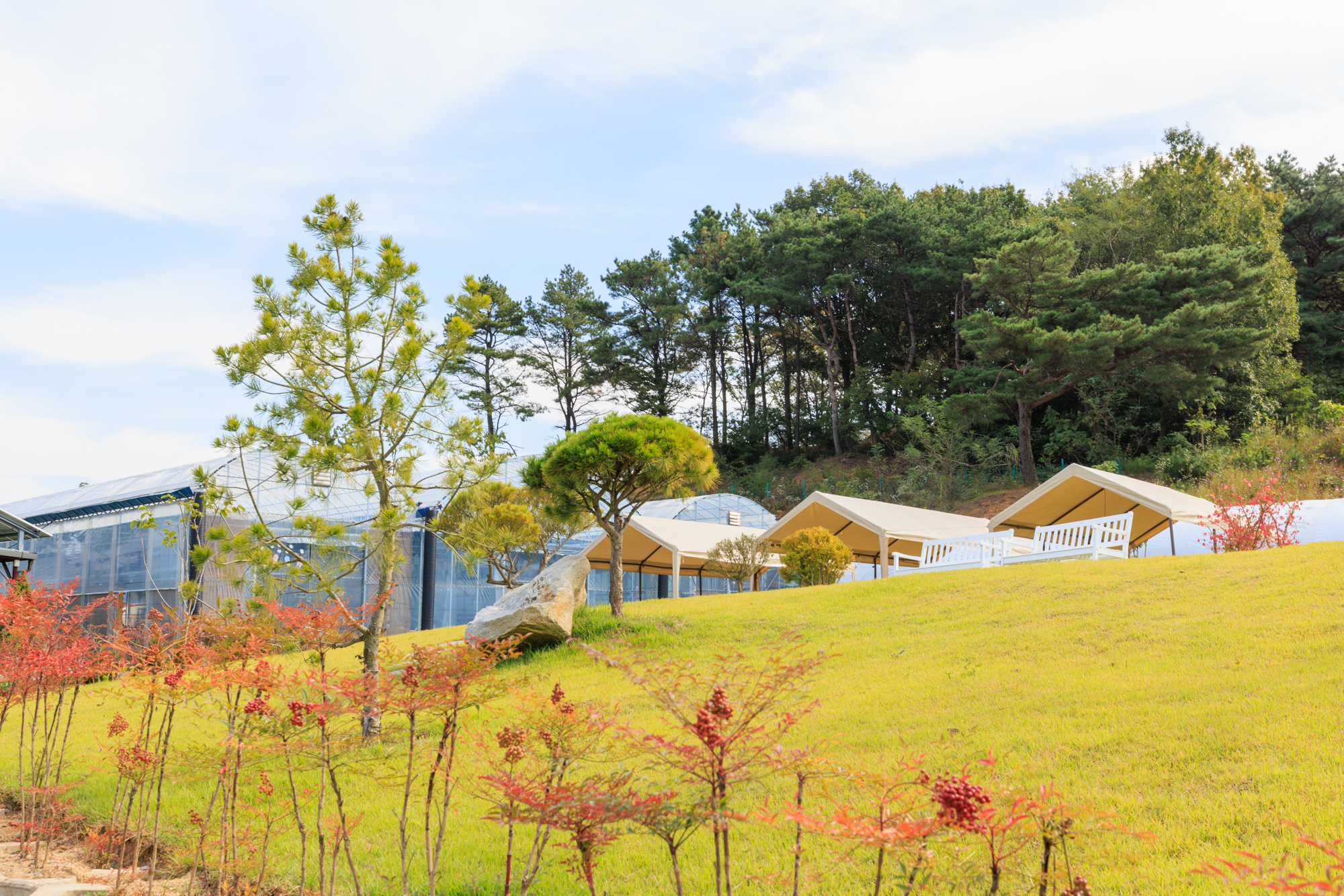아산 세제골농원 숲속야영장 3