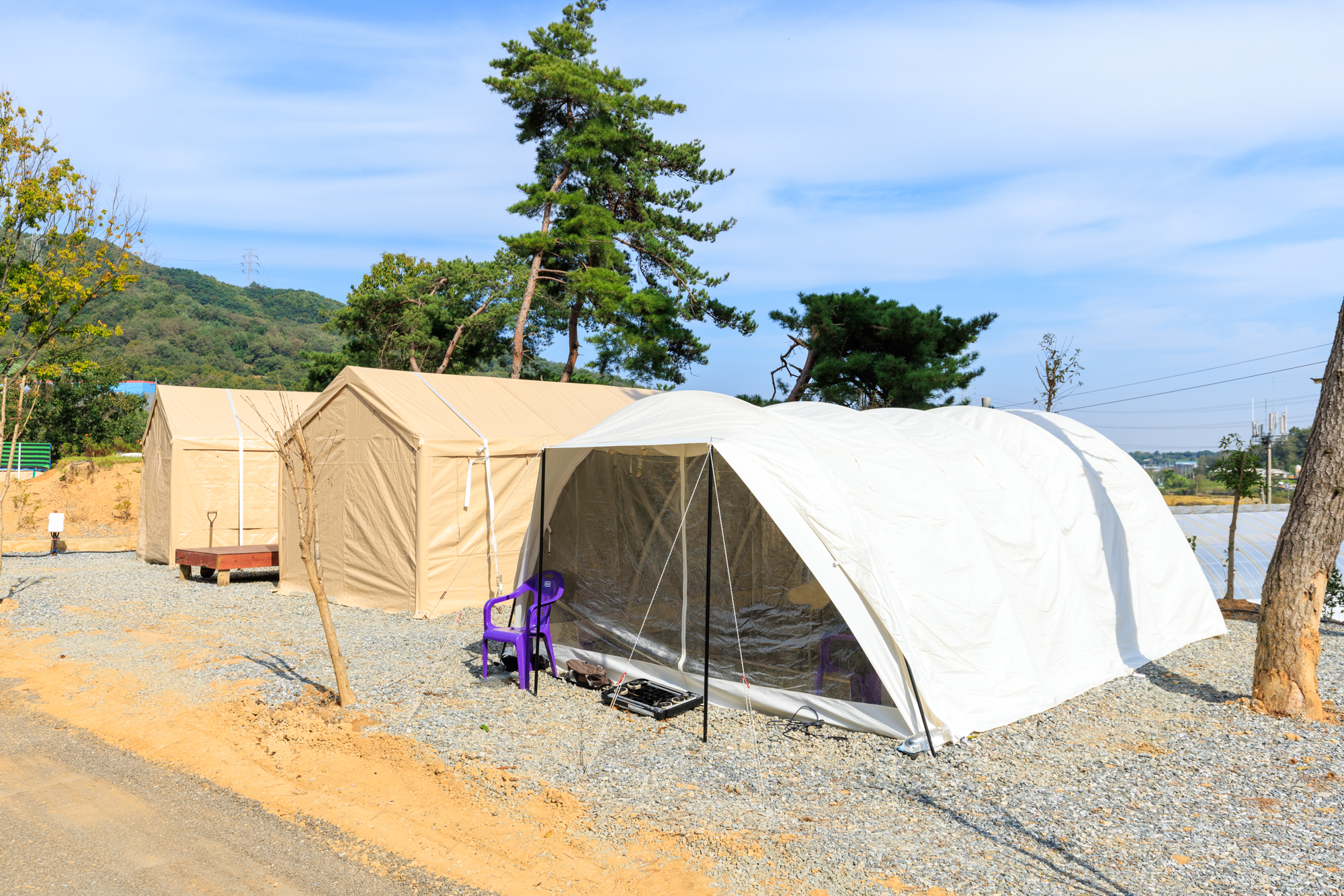 세제골농원 숲속야영장 이미지