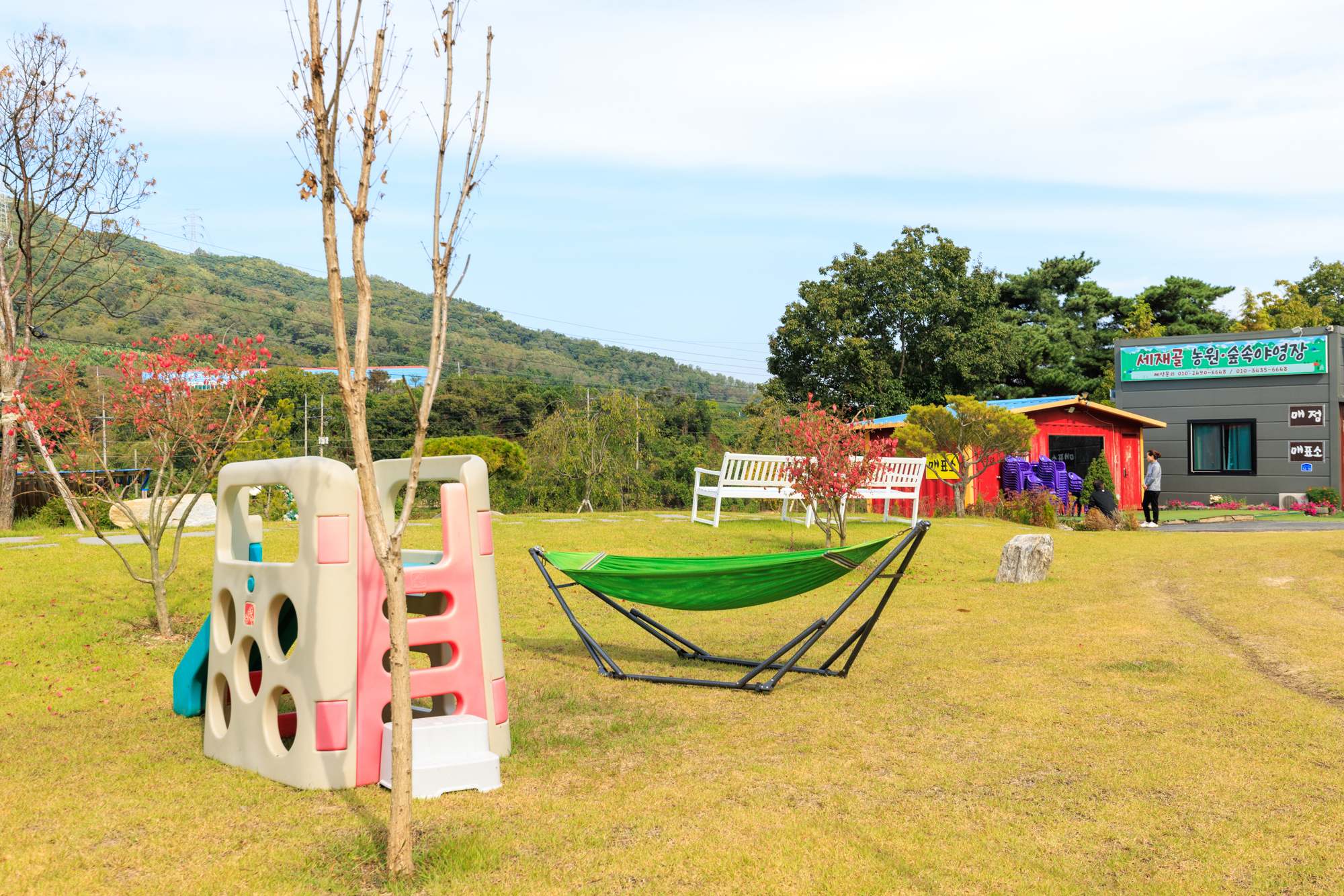 세제골농원 숲속야영장 이미지