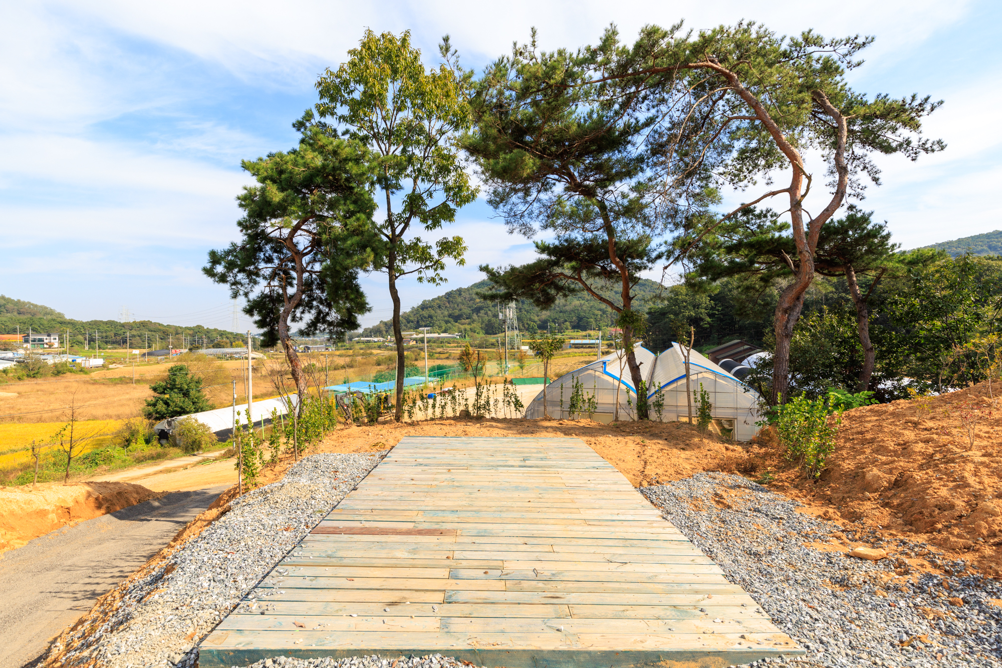 세제골농원 숲속야영장 이미지